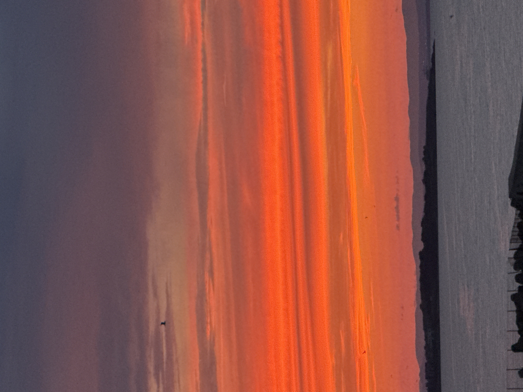A sunset over the Black Sea in Sozopol, Bulgaria, displays a dramatic gradient of colors. The sky transitions from a deep navy blue at the top to vibrant oranges and reds closer to the horizon. Thin, elongated clouds are visible throughout the sky, catching the light of the setting sun. In the distance, a silhouetted coastline with rolling hills forms a dark band across the horizon. The sea below is a muted gray, reflecting the colors of the sky. In the foreground, a dark, silhouetted barrier of some kind, possibly a fence or wall, is visible along the bottom edge of the image. A single bird is silhouetted against the bright sky in the upper left quadrant of the image.