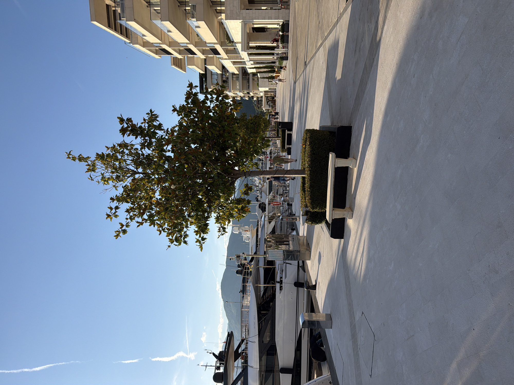 The image captures a view of Porto Montenegro in Tivat, Montenegro. Tall, modern buildings line the left side of the image. A row of trees and benches runs along a paved walkway. Several large yachts are docked along the waterfront, with a mountain range visible in the background. The sky is clear and blue. People are walking in the background, near the buildings.