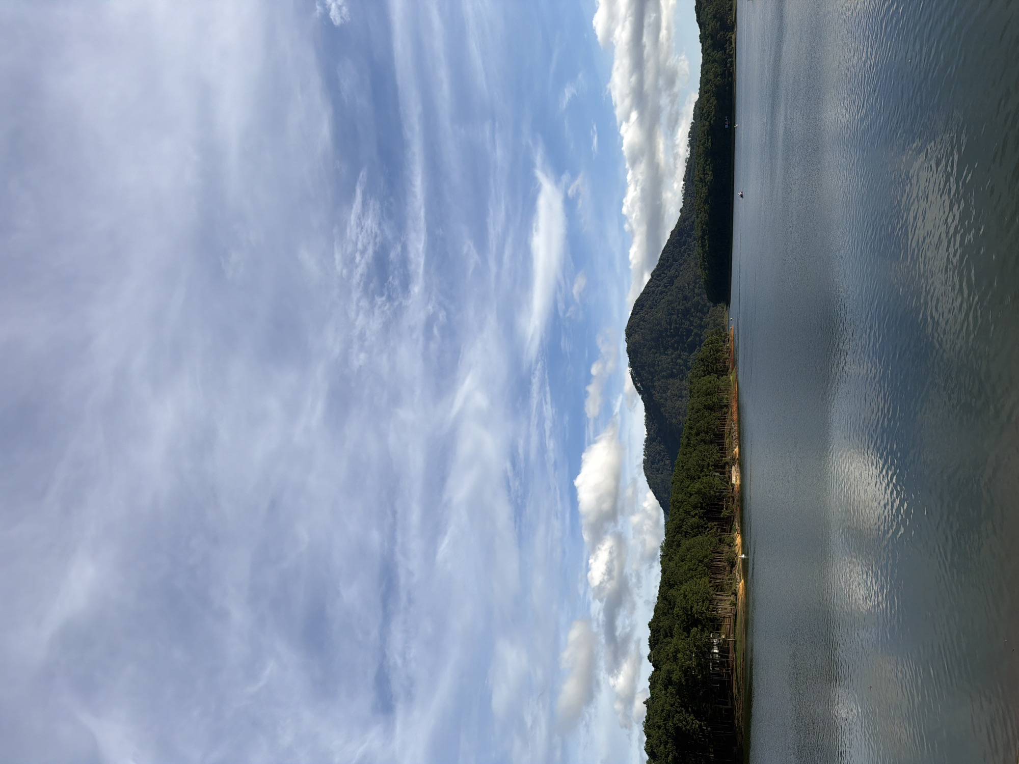 The image shows Tuyen Lam Lake in Da Lat, Vietnam. The lake is calm with gentle ripples reflecting the sky and surrounding landscape. In the foreground, the water takes up approximately half of the frame. Along the left bank of the lake, a dense forest of pine trees lines the shore, with a few small buildings visible nestled amongst the trees. A patch of reddish-brown earth is visible between the trees and the water. To the right of the pine forest, the shoreline curves away, becoming less densely forested and transitioning into a distant, dark green hill. A prominent, darker green mountain with a rounded peak dominates the background, rising above the forested hills. The sky is a bright blue with scattered white clouds, some of which are wispy and streaked, while others are more fluffy and substantial. A few small boats are visible on the water, suggesting recreational activity. The overall scene is one of natural beauty and tranquility.