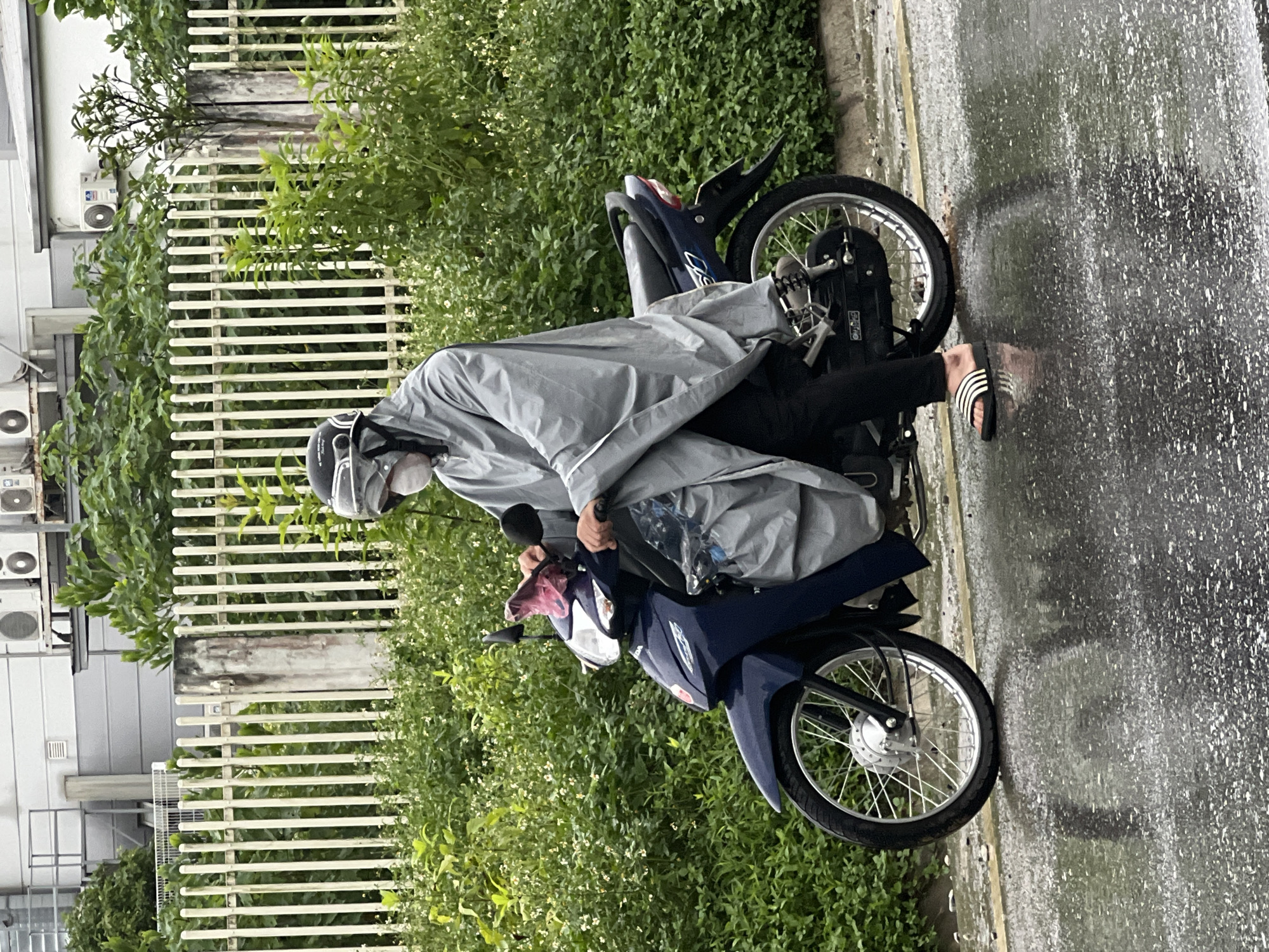 A person wearing a grey poncho, white mask, helmet, and sandals rides a blue motorcycle on a wet street. The person is on the left side of the frame. The motorcycle is facing towards the right. The background consists of a white fence, green bushes and trees, and a building with air conditioning units. The street is reflective due to the rain. The location is Sơn Dương Commune, Vietnam.