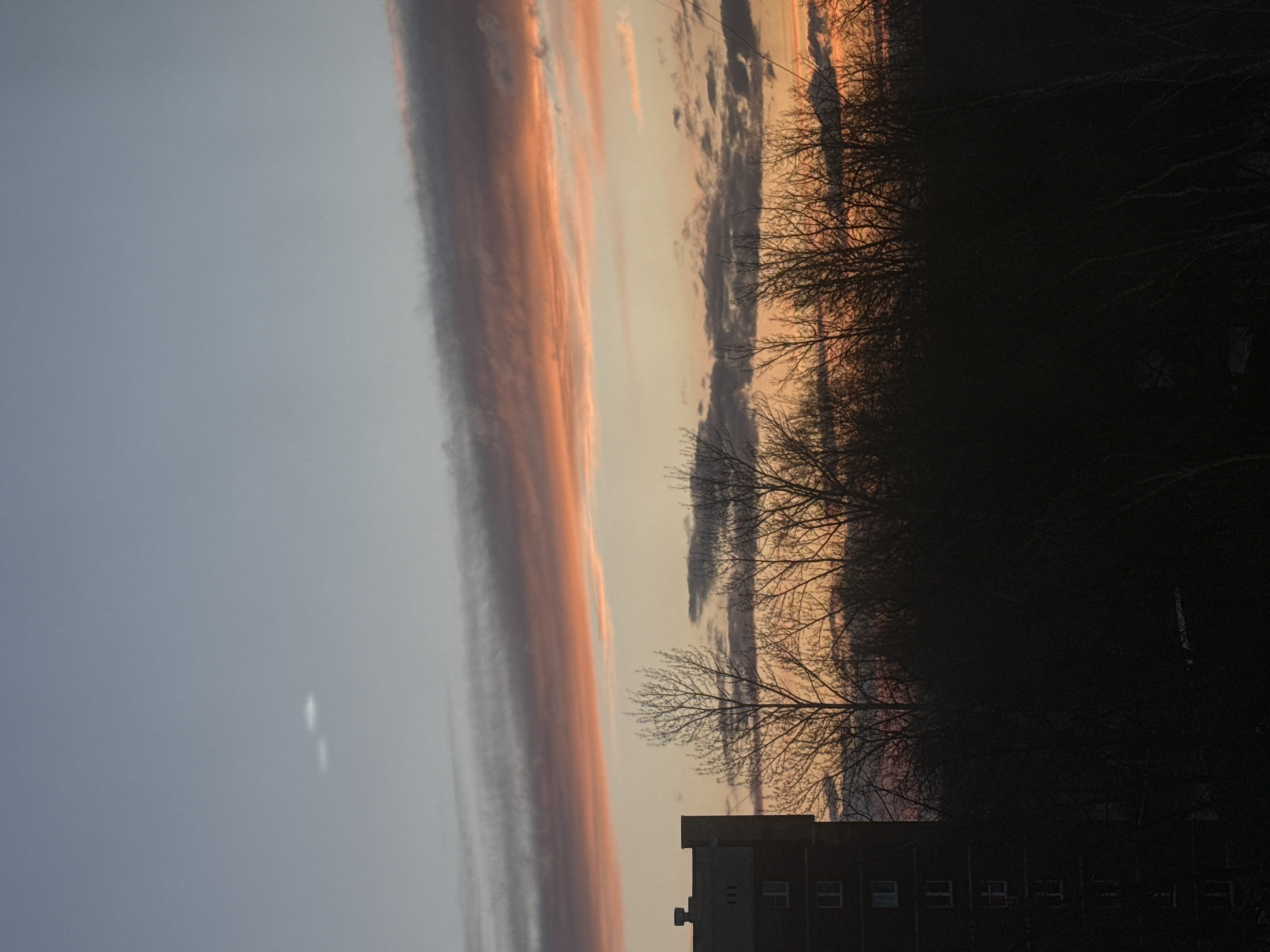 The image captures an outdoor scene in Chaikovsky, Russia, during either sunrise or sunset. The sky, occupying the upper two-thirds of the frame (when viewed horizontally), presents a striking display of colors, transitioning from light blue at the top to warm orange, pink, and yellow tones closer to the horizon. A prominent, elongated cloud formation, striped with vibrant orange and pink, stretches horizontally across the sky, contrasting with other scattered clouds of varying shades of gray.
Below the colorful sky, the landscape is rendered in dark silhouette. A dense mass of bare trees, their intricate, leafless branches creating a stark pattern, forms a significant part of the lower third of the image. To the bottom right, a multi-story building, possibly an apartment block or institutional structure, is also visible in silhouette, its architectural details obscured by the low-angle light. A faint, bright anomaly, possibly lens flare or a distant light, is visible in the upper left section of the lighter blue sky.
The strong contrast between the brightly lit sky and the dark foreground elements clearly indicates the time of day is either dawn or dusk. The bare trees suggest the season is likely winter or early spring. No specific activities or visible text are discernible in the image. The scene evokes a sense of tranquility and the natural beauty of transitional light.