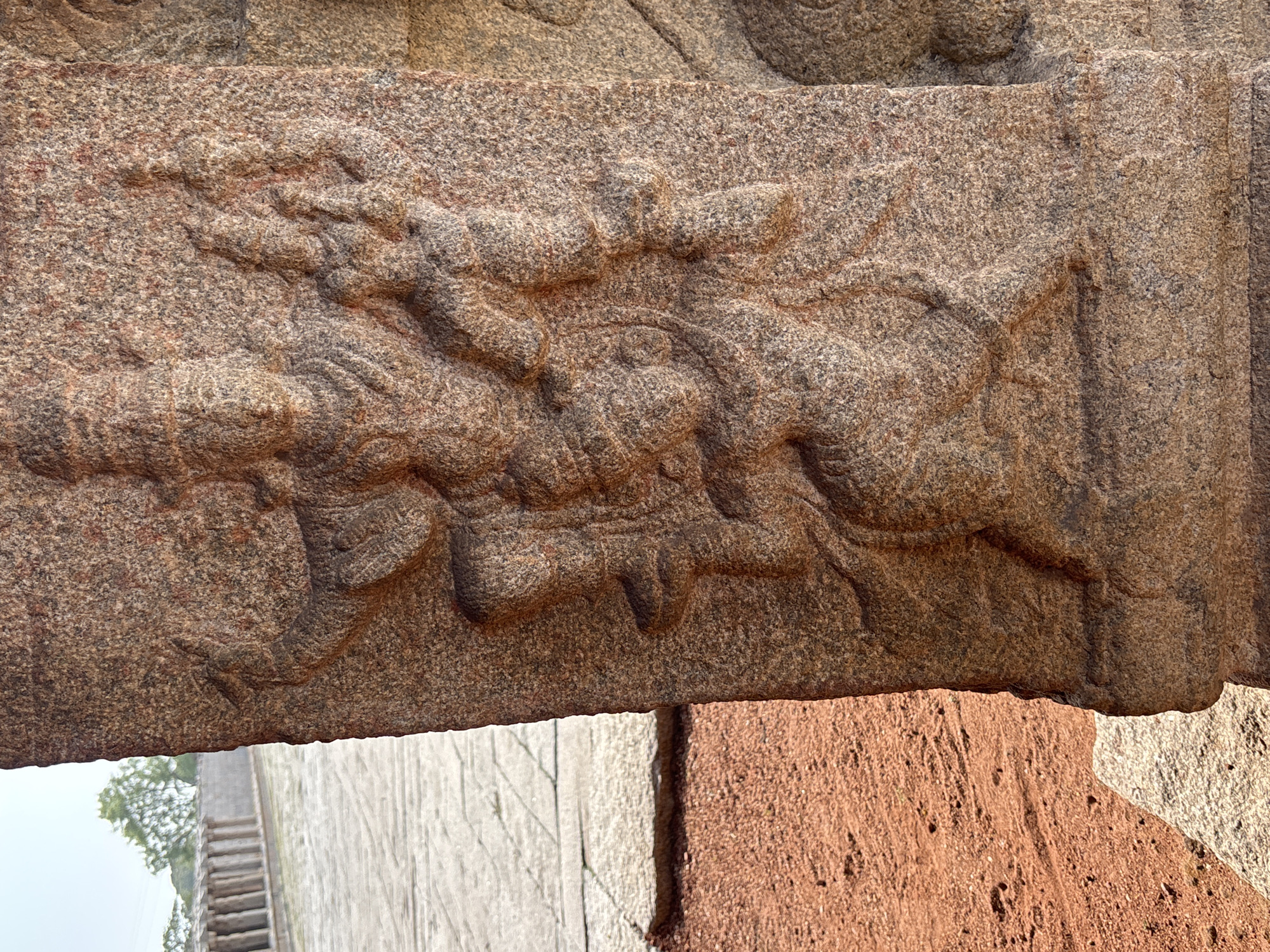 The image shows a close-up of a stone carving, likely part of an architectural structure in Kamalapura, India. The carving depicts a mythical creature, possibly a Yali or similar composite animal, rendered in relief on a rectangular section of brownish-gray stone. The creature has a textured surface, with details such as facial features, limbs, and possibly wings or decorative elements suggested by the carving. The surrounding stone surface is rough and weathered, suggesting age and exposure to the elements. The carving is positioned horizontally, and a section of another stone structure or wall is visible beneath it, showing a transition to a different color and texture of stone. In the background, faint outlines of what appear to be steps and vegetation can be discerned.