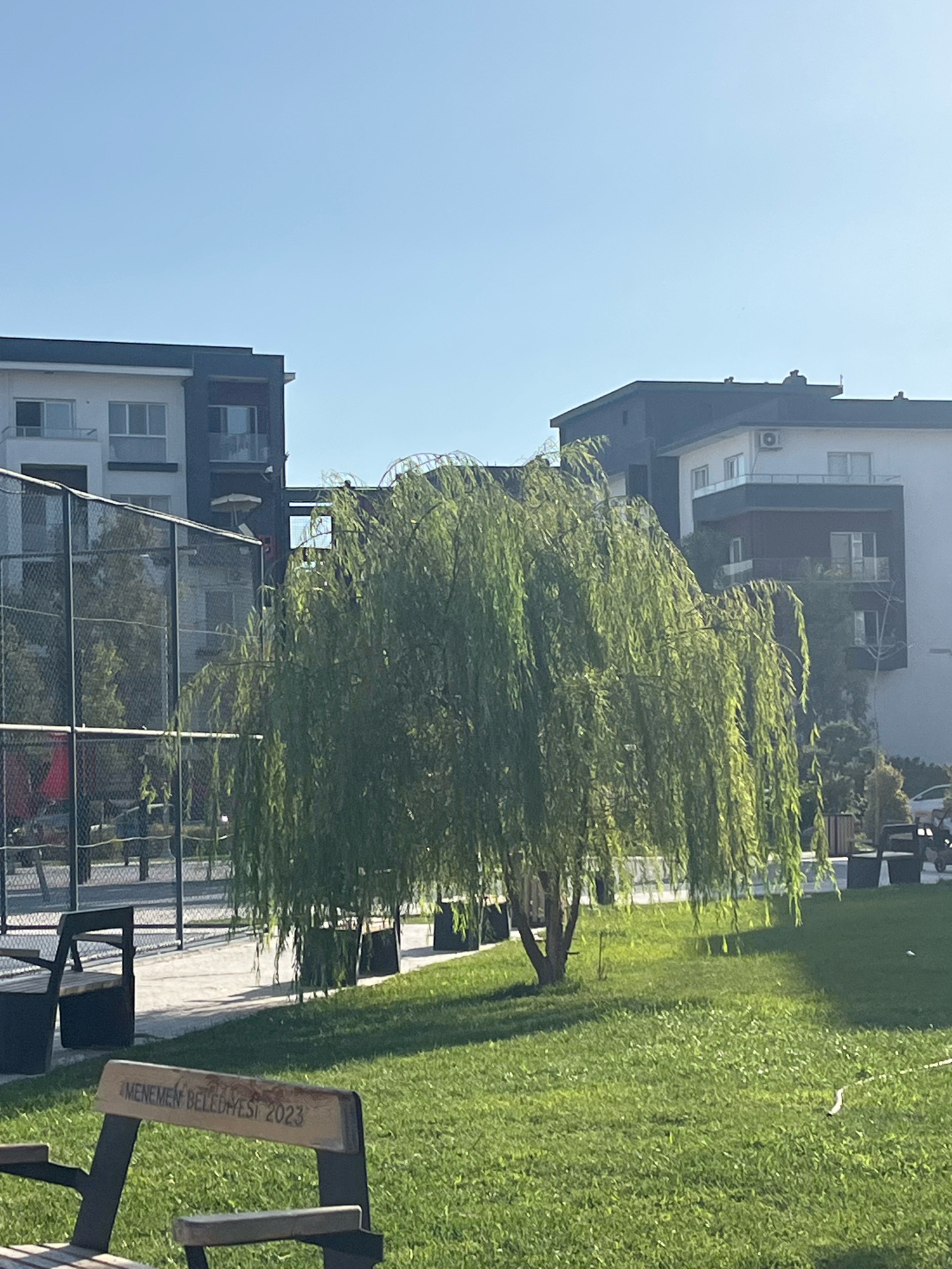The image depicts an outdoor public area in Menemen, Turkey, likely a park or recreational space. In the foreground, a weathered wooden bench with metal legs is visible, inscribed with "MENEMEN BELEDIYESI 2023", indicating it is a public bench provided by the municipality in the year 2023. Behind the bench, a lush green lawn is illuminated by sunlight, casting shadows from a prominent weeping willow tree in the mid-ground. The willow tree's branches cascade downwards, partially obscuring a chain-link fence. Beyond the fence, modern multi-story apartment buildings with dark and white facades are visible against a clear blue sky. The overall scene suggests a tranquil urban environment with recreational facilities and residential areas.