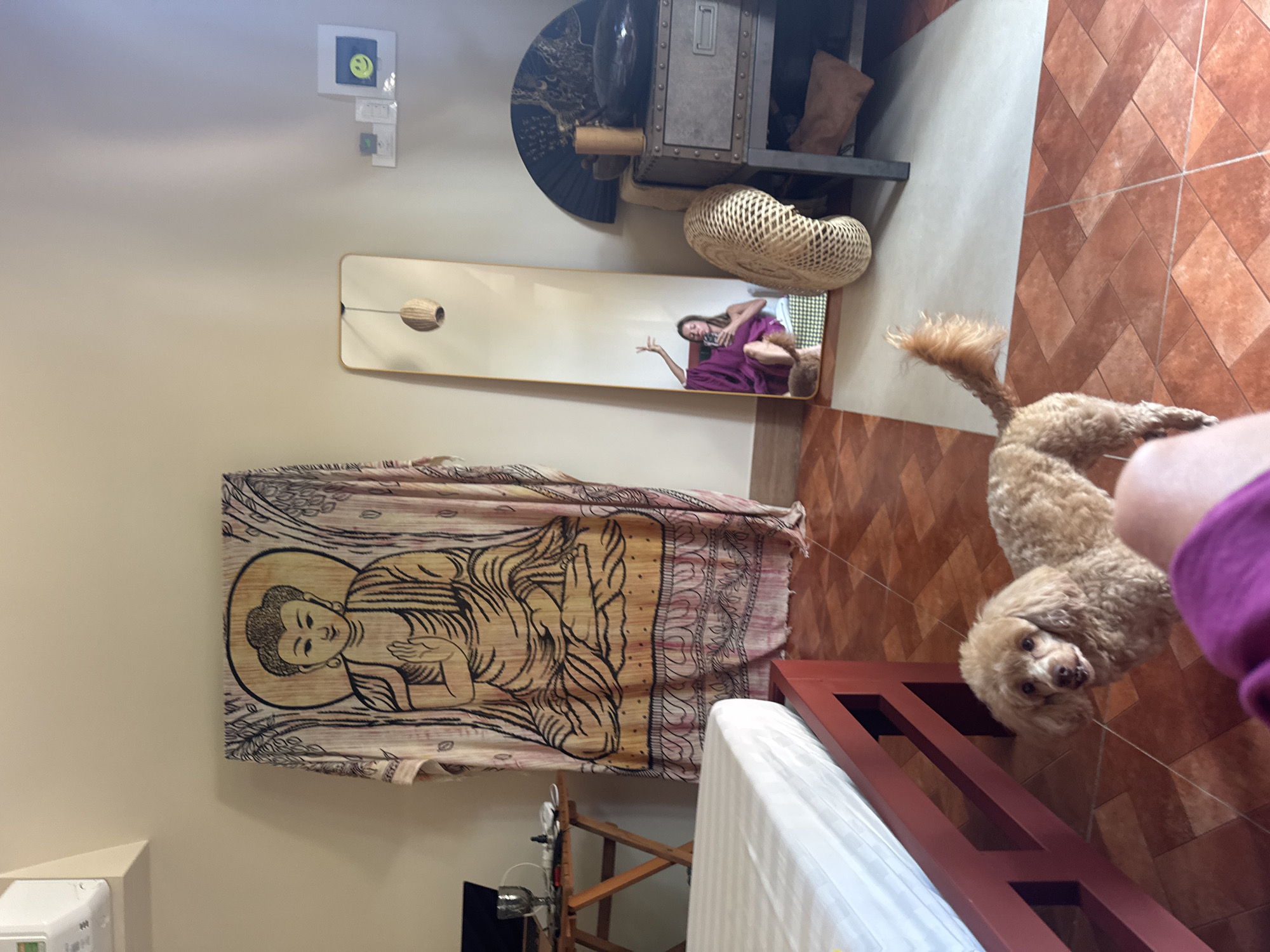 The image depicts an indoor scene, likely a bedroom or living space, with a light-colored wall and terracotta tile flooring. In the foreground, a small, light brown poodle stands on the floor, looking towards the camera. A person's legs, clad in purple fabric, are visible at the bottom of the frame, suggesting the photo is taken from a seated or lying-down perspective.
Dominating the left side of the frame is a large, fabric tapestry or cloth hanging on the wall, featuring a prominent depiction of Buddha in meditation, surrounded by intricate patterns and trees. To the left of the tapestry, a wooden folding table with items on it, including a laptop and a glass, is partially visible. A portion of a bed with a white mattress and red wooden frame is present in the lower left corner.
A full-length mirror stands upright in the middle ground, reflecting a woman wearing a purple dress, posing with one hand raised and the other holding a phone. Next to the mirror, to the right, is a tall, narrow cabinet or chest of drawers with a metallic finish. On top of this cabinet are several objects, including a black fan, a cylindrical wooden piece, and a dark, rounded bowl. A woven, basket-like object is placed on the floor in front of the cabinet. On the wall above the cabinet, a small shelf holds a few items, including a framed picture with a yellow smiley face.
The overall impression is a room with a blend of spiritual, decorative, and personal elements. There is no specific indication of the city of Mũi Né, Vietnam, within the visual elements of the image.