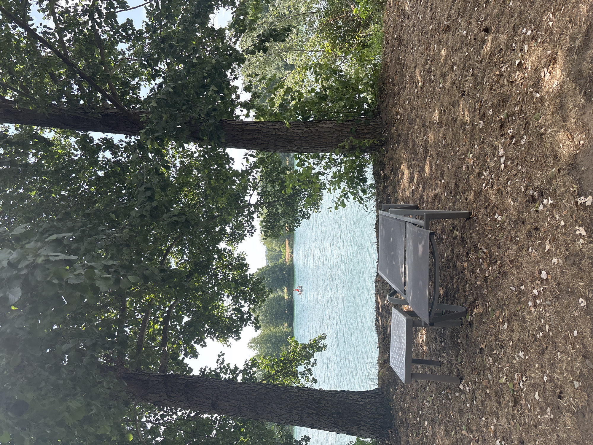 The image depicts a serene waterside scene in Niedernberg, Germany. In the foreground, two empty lounge chairs and a small side table sit on a patch of dry grass and fallen leaves. Beyond the chairs, a wide, tranquil body of water with turquoise hues stretches out, bordered by lush green trees on the opposite bank. In the distance, a small boat with several people on board is visible on the water. The overall atmosphere is peaceful and idyllic, suggesting a leisurely day by the lake.