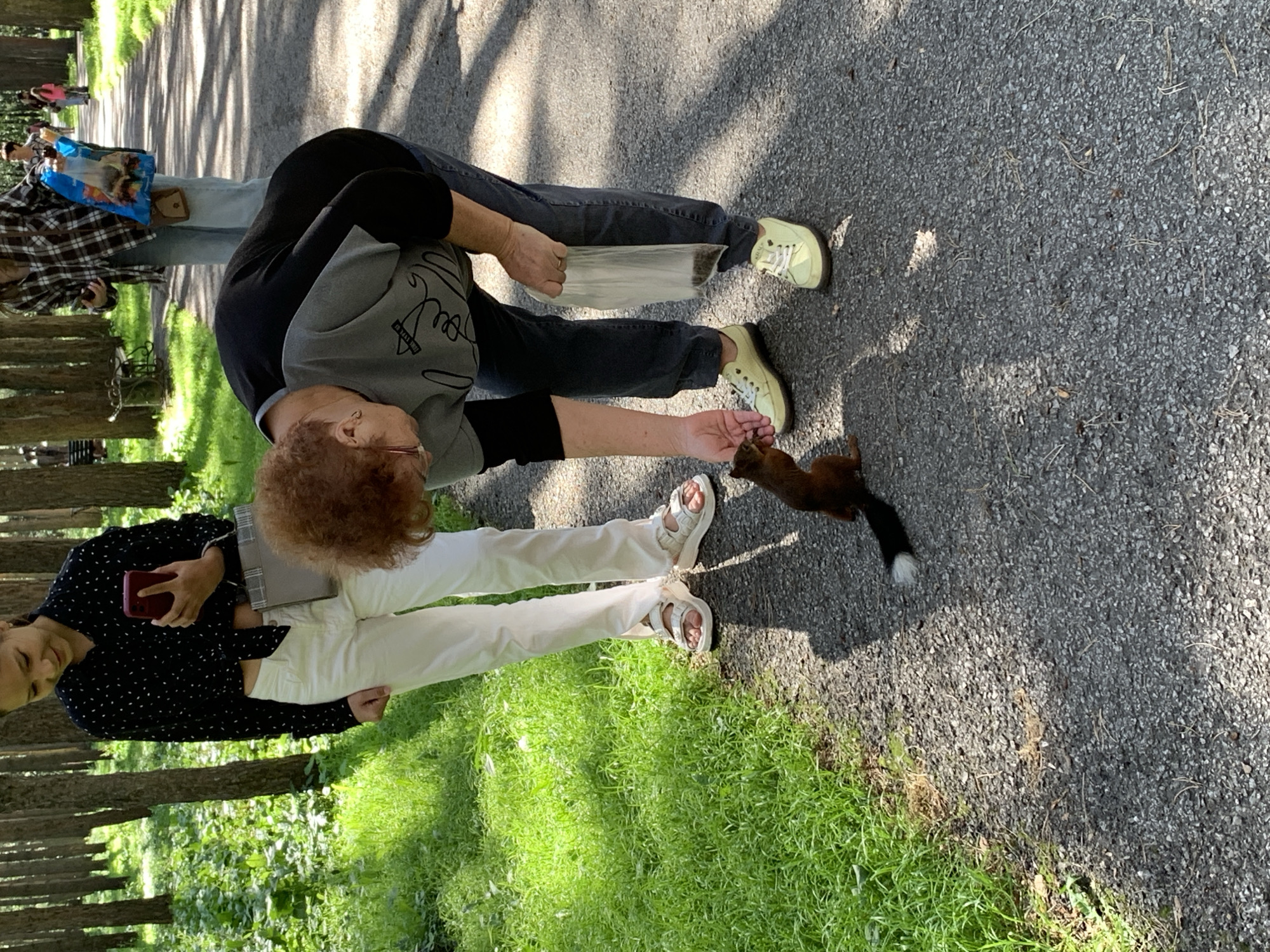 In Prokopyevsk, Russia, on a paved park path bordered by lush green grass and tall pine trees, a woman with reddish-brown hair, wearing a grey sweatshirt and dark pants, bends down to feed a squirrel. She holds a small plastic bag filled with what appears to be seeds or nuts, and offers some to the squirrel with her hand. The squirrel, with a bushy tail tipped in white, is reaching up to take the food. To the left, a young woman in a black patterned shirt and white pants stands holding a mobile phone and a small grey purse. In the background, other individuals are visible walking along the path, with one person carrying a blue bag. The scene is illuminated by dappled sunlight filtering through the trees.