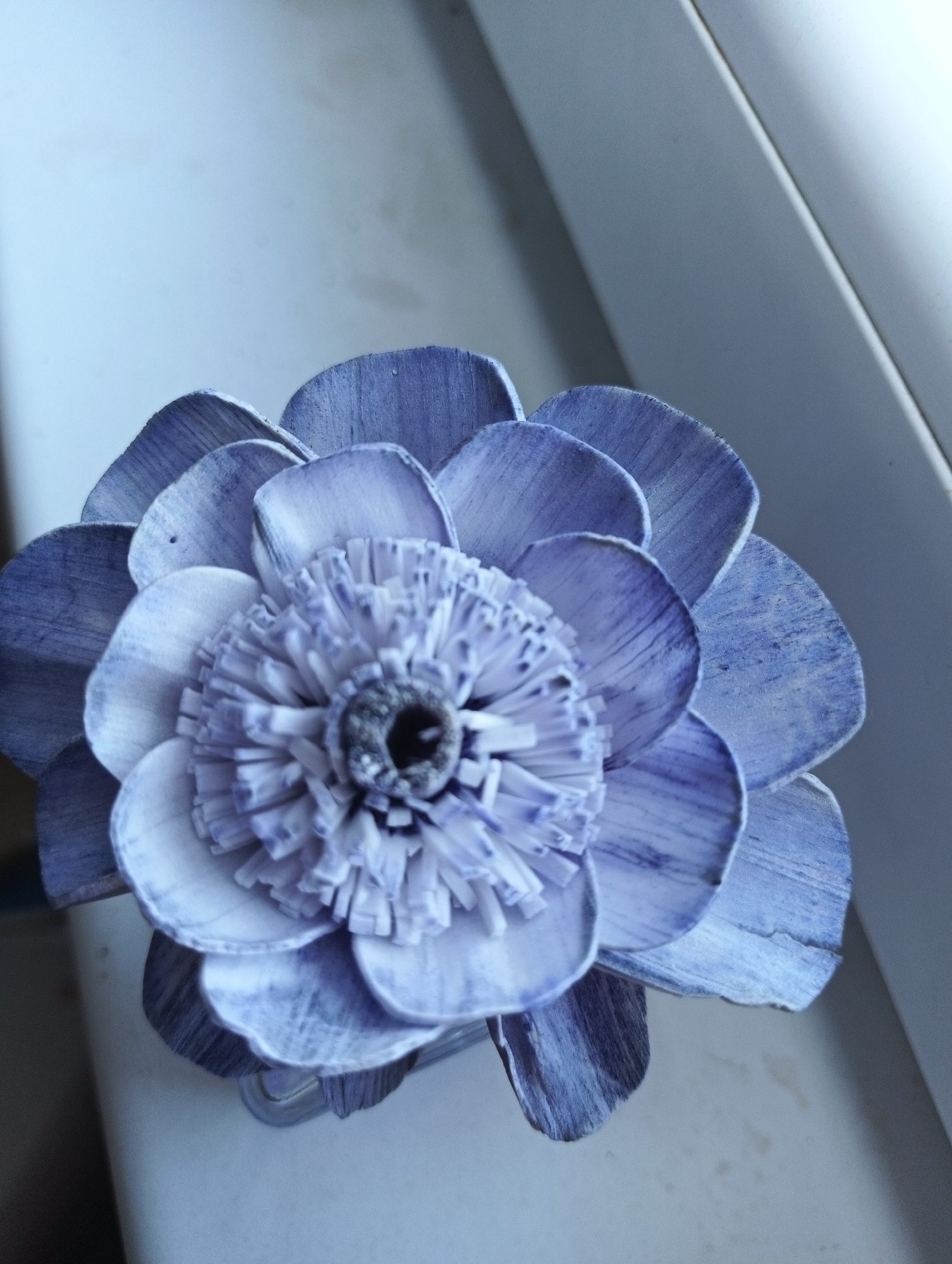 A close-up, top-down view shows a single, dried, blue-dyed flower on a white, slightly textured surface. The flower has multiple layers of broad, curved petals with visible wood grain texture. The center of the flower is filled with a dense cluster of thin, fringe-like elements surrounding a dark, circular opening. The lighting suggests it is near a window, with some shadow casting from a diagonal element on the right side of the frame. No people are present, and the setting appears to be indoors, possibly on a windowsill. The location in Karnobat, Bulgaria, is not discernible from the visual information in the image.