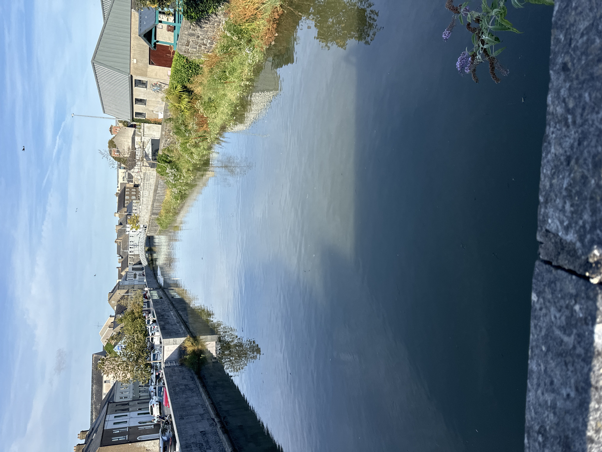 The image shows a canal in Waterford, Ireland, lined with buildings on one side and greenery on the other. The canal is calm and reflects the sky and surrounding structures. On the left bank, there are terraced houses and parked cars, with a pedestrian walkway. Across the canal, further down, a white arched bridge spans the water. The right bank features a mix of buildings, including a modern industrial-looking structure with a corrugated roof, and some vegetation. In the foreground, a stone wall is visible. The sky is blue with some scattered clouds, and the sun appears to be shining. A few birds are visible in the sky. There is a cluster of purple flowers in the lower right corner of the image.