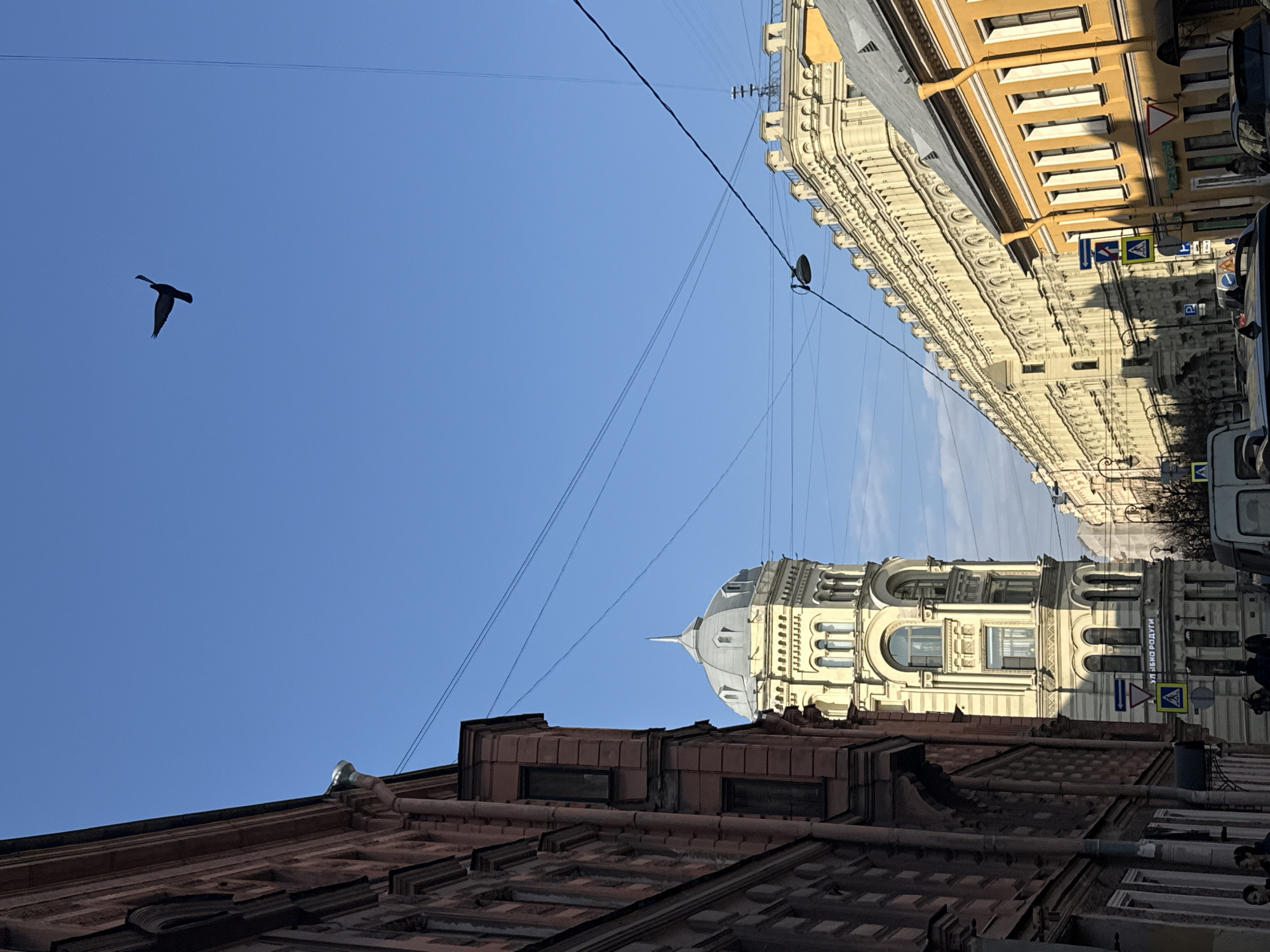 The image captures a view of a street in Saint Petersburg, Russia, tilting upwards to showcase the city's architecture against a clear blue sky. At the top of the frame are buildings with detailed facades, one painted yellow and another white, showing multiple windows and architectural embellishments. Electrical lines crisscross the sky between the buildings. A black bird is flying in the top left. The lower part of the image includes the roofline of a brick building with a complex, patterned surface. Street signs, parked vehicles, and glimpses of pedestrians add context to the urban scene.