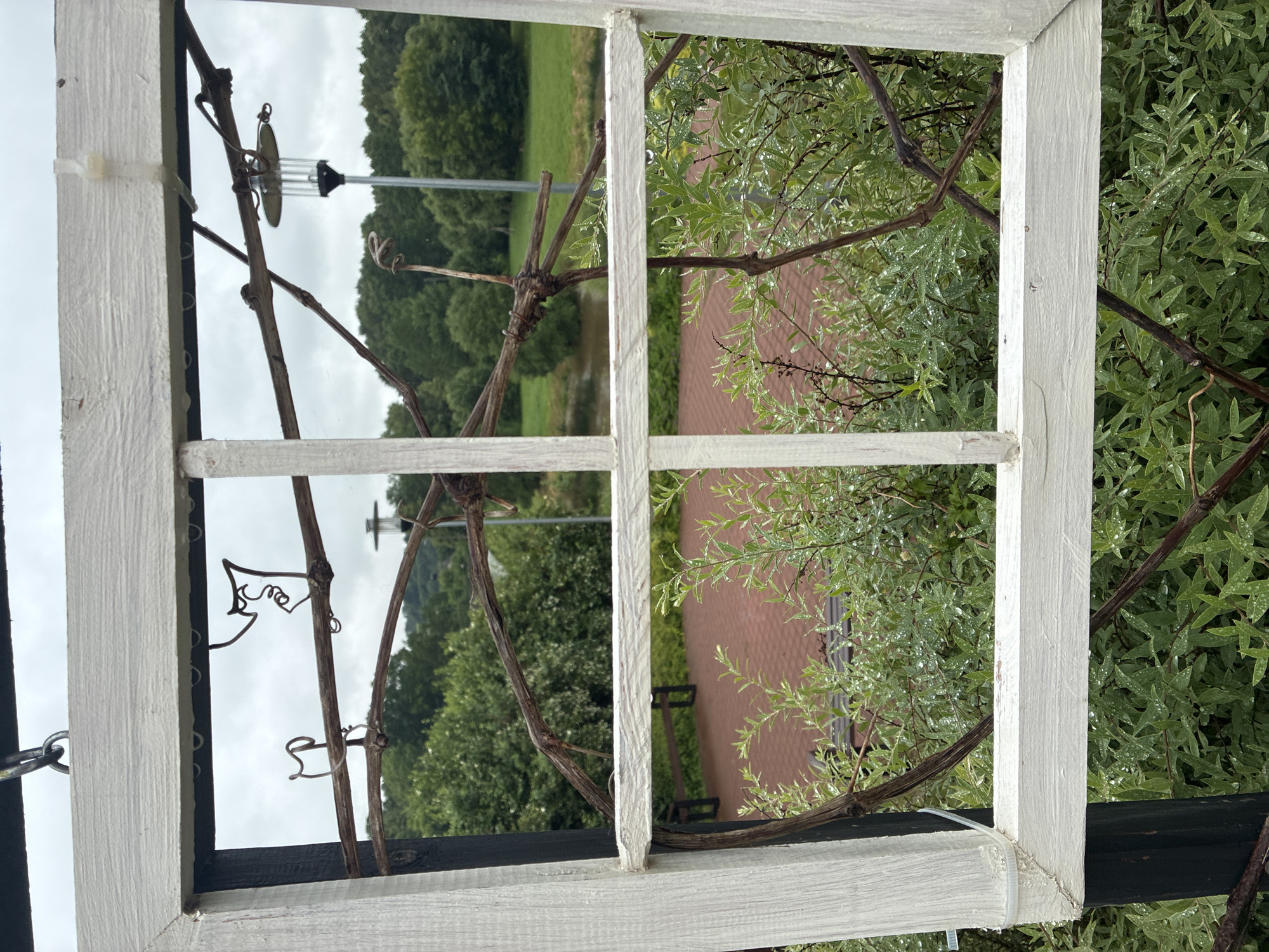 The image depicts a view through a white, rustic window frame, possibly an outdoor decorative element, at the Vile de Sabile park in Sabile, Latvia. The window frame is made of weathered wood with visible grain and appears to be hanging by chains. Several brown, bare branches, possibly from a vine, are intertwined within and around the frame, creating a natural, somewhat overgrown aesthetic.
Through the window, a landscape unfolds under an overcast sky. In the middle ground, a section of a red brick-tiled area is visible, with a dark-colored park bench situated behind it. Beyond this, a body of water, likely a pond or a slow-moving river, is present, bordered by lush green trees. In the background, a dense forest of various trees fills the horizon. A modern lamp post with a clear glass casing and a dark base stands to the right, partially obscured by branches. The foreground is dominated by green foliage, likely bushes or small trees, with numerous water droplets clinging to the leaves, suggesting recent rain or dew. There are no people visible in the scene.