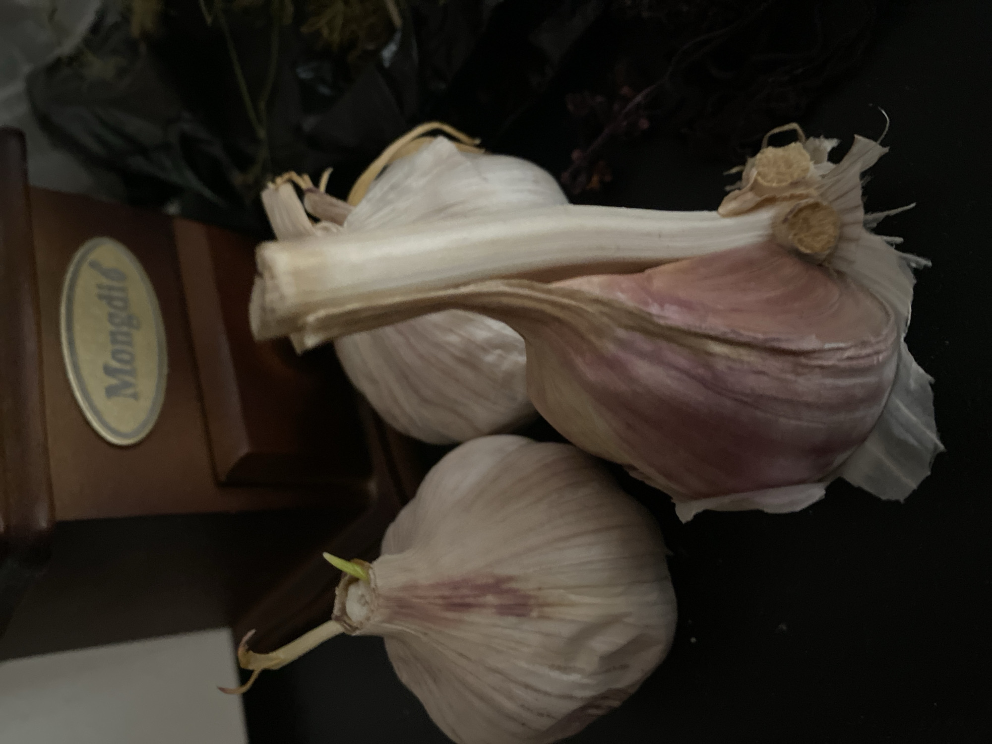The image shows a close-up of three bulbs of garlic on a dark, flat surface, possibly a countertop or table. One bulb in the foreground is partially peeled, revealing pinkish-purple cloves. Two other bulbs are visible behind it, one to the left with a small green sprout emerging from its stem, and another to the right. In the background, out of focus, is a dark brown wooden object, possibly a grinder, with a circular emblem on it. Dark, dried plant material is also visible in the background. The lighting is dim, creating shadows and highlighting the textures of the garlic.