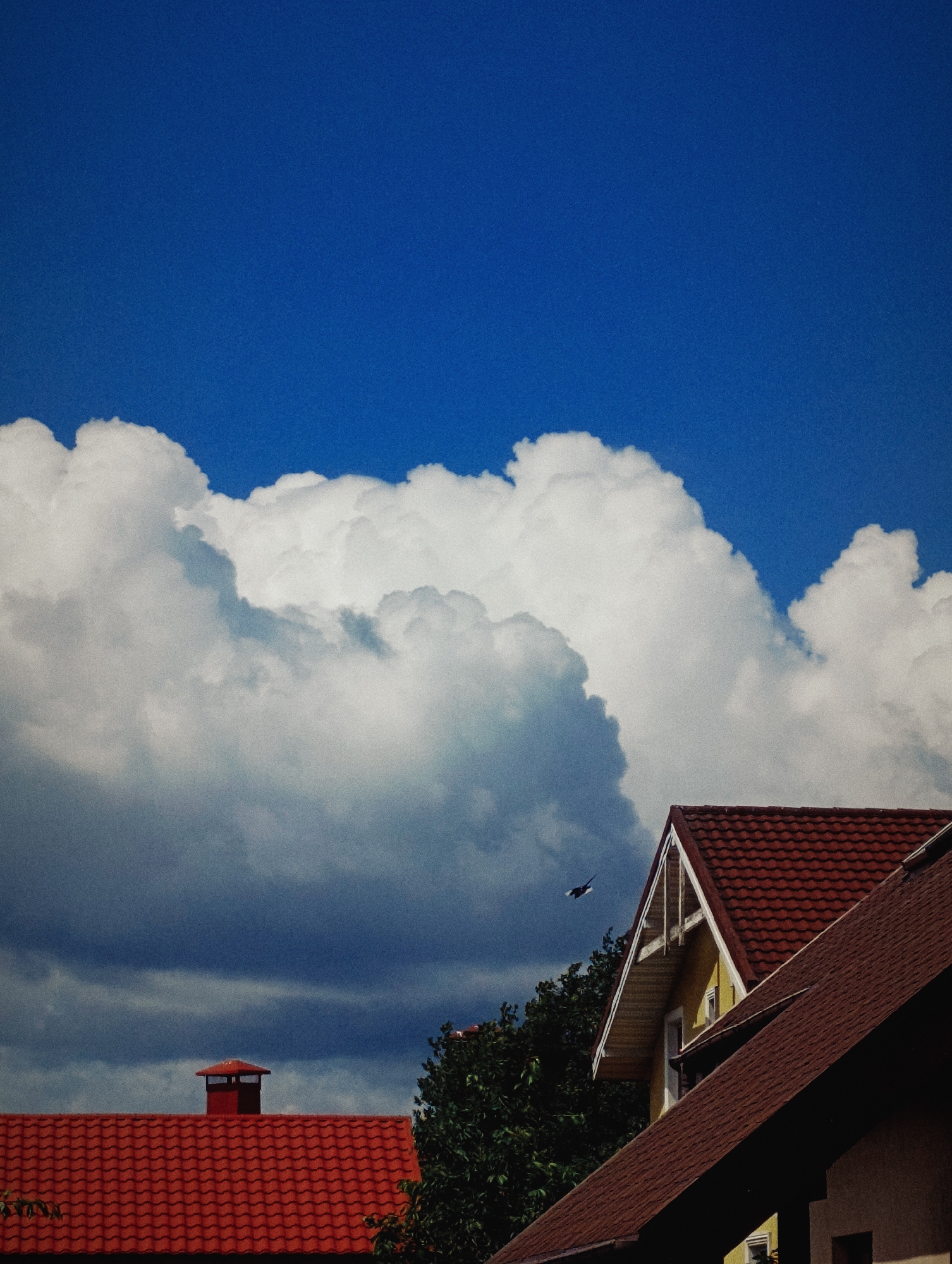 The image depicts a bright, overcast sky with large, fluffy white clouds dominating the upper half. In the foreground, the red tile roofs of houses are visible. A single bird is captured in flight against the blue sky and clouds. Trees are also present in the scene, peeking out from behind the houses. The overall impression is a daytime scene in a residential area, possibly a suburb or town, under a dynamic sky.