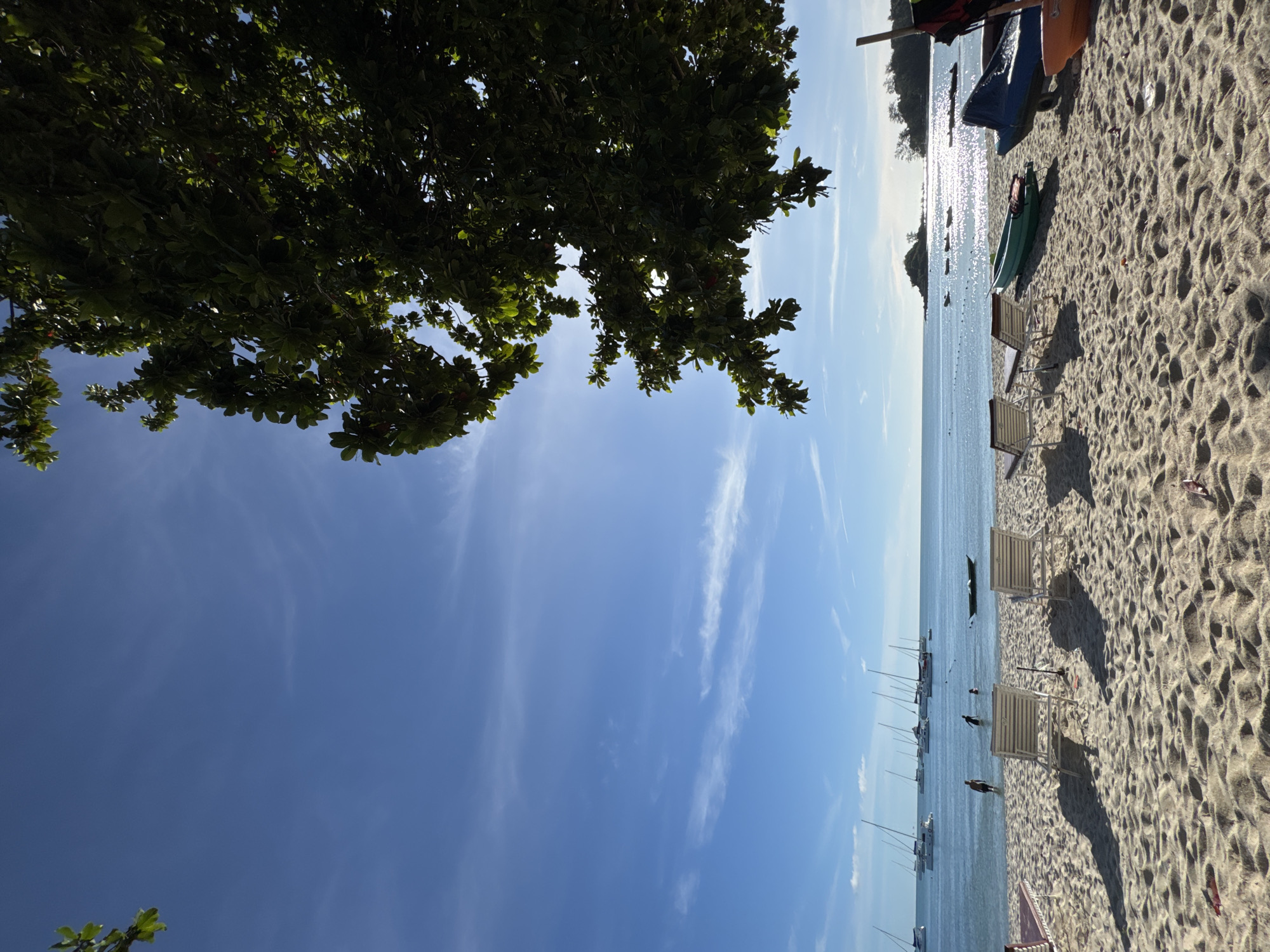 The image captures a tranquil beach scene under a clear blue sky. In the foreground, a sandy beach is dotted with several lounge chairs, some occupied by a few people wading in the shallow water. The ocean stretches out to the horizon, where a line of sailboats is visible. The right side of the image features a portion of a large, leafy tree, its branches casting shadows on the sand. The sun shines brightly, creating reflections on the water and highlighting the details of the beach.