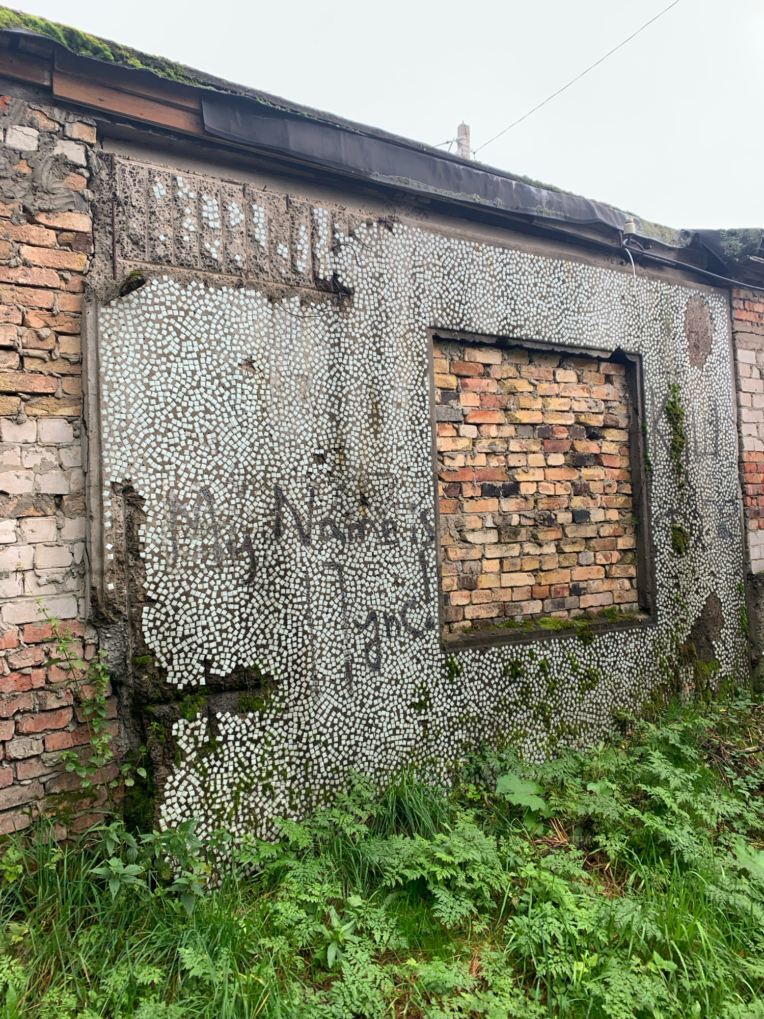 The image depicts the exterior wall of an abandoned building located in the city of Katunino, Russia. The wall is constructed of brick and partially covered with small, white mosaic tiles, many of which are missing or damaged. The mosaic surface is also overgrown with moss and patches of greenery. There is a boarded-up window opening in the center of the wall, revealing exposed brickwork within. Graffiti, appearing to be handwritten text in black spray paint, is visible on the mosaic section of the wall. The area in front of the building is covered with dense green vegetation, including grass and ferns. The sky is overcast. There are no people or animals visible in the image.