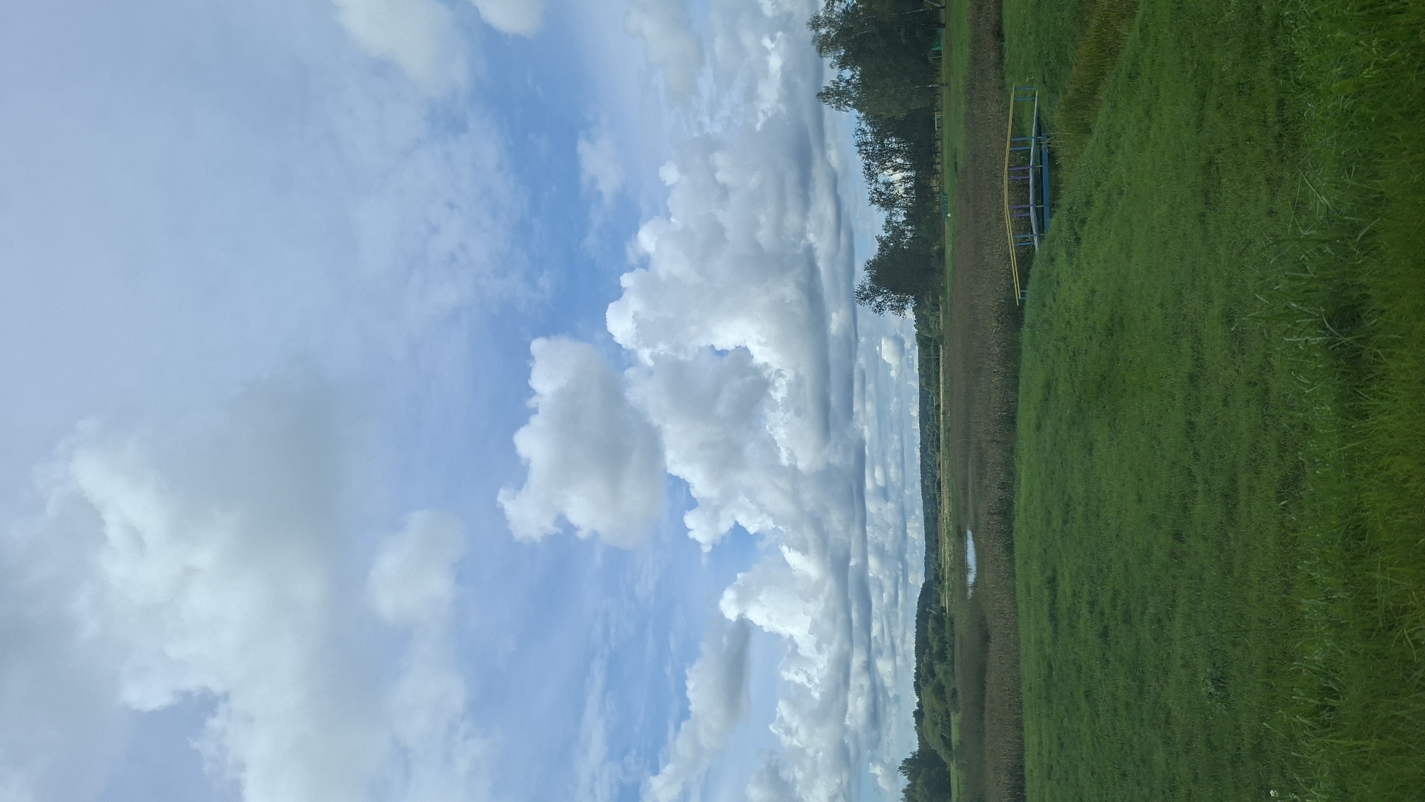 The image depicts a rural landscape under a cloudy sky. In the foreground, a lush green grassy field slopes gently upwards. In the mid-ground, there is a low, narrow bridge with blue and yellow railings spanning a ditch or small body of water. Beyond the bridge, a field of tall, dry brown reeds or grasses stretches towards a line of trees in the distance. A small, calm body of water is visible amongst the reeds. The background is dominated by a treeline and a sky filled with large, white cumulus clouds against a pale blue sky. The scene is serene and appears to be in a natural, undeveloped area within the Svatkouski Selski Savet, Belarus. No people or animals are visible in the image.