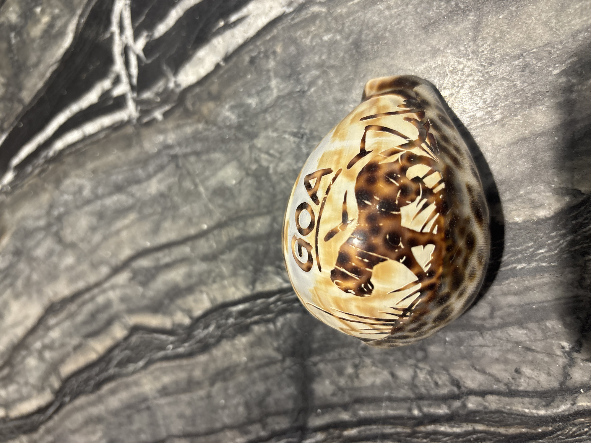 An object, resembling a seashell with a brown leopard-like pattern and the word "GOA" written on it, rests on a grey, marbled surface. The surface has dark grey and white veins. The shell is decorated with an image of a leopard walking amongst tall grass. The lighting casts a slight shadow of the shell onto the surface.