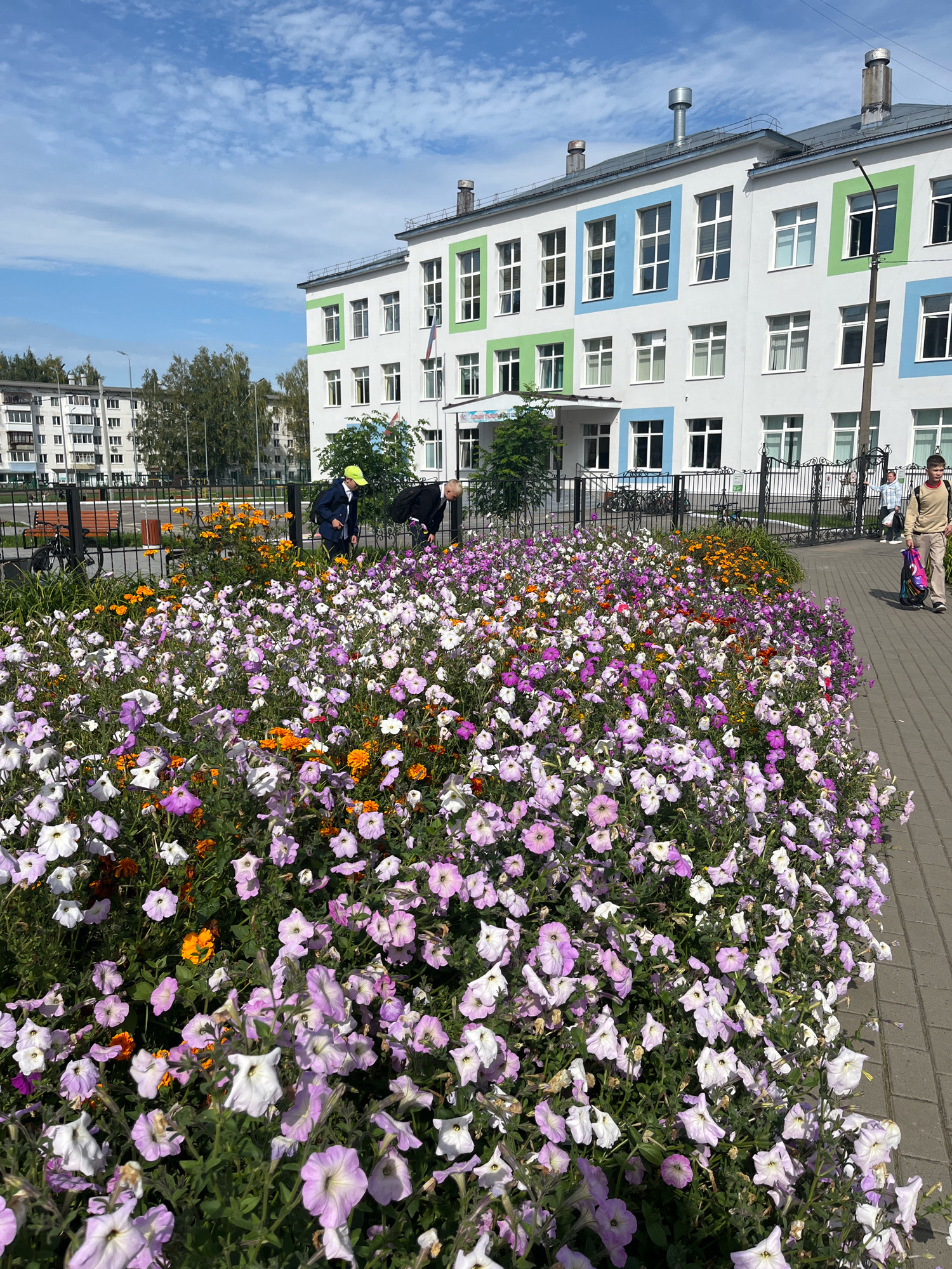 The image depicts a bright, sunny day outside a school building in Chaikovsky, Russia. A large bed of blooming petunias in shades of pink, purple, and white is prominently featured in the foreground, interspersed with smaller orange flowers. Behind the flower bed, a modern school building with white walls and colorful window frames in blue and green stands under a blue sky with scattered clouds. A black metal fence separates the flower bed from the school grounds. Two individuals are visible near the fence; one in a dark jacket and yellow cap appears to be looking down at the flowers, while another in a dark suit is also bent over. Further down the paved walkway, a young person in a light brown sweater and pants, carrying a backpack, walks away from the camera. The environment suggests a school setting with surrounding apartment buildings and trees visible in the background.