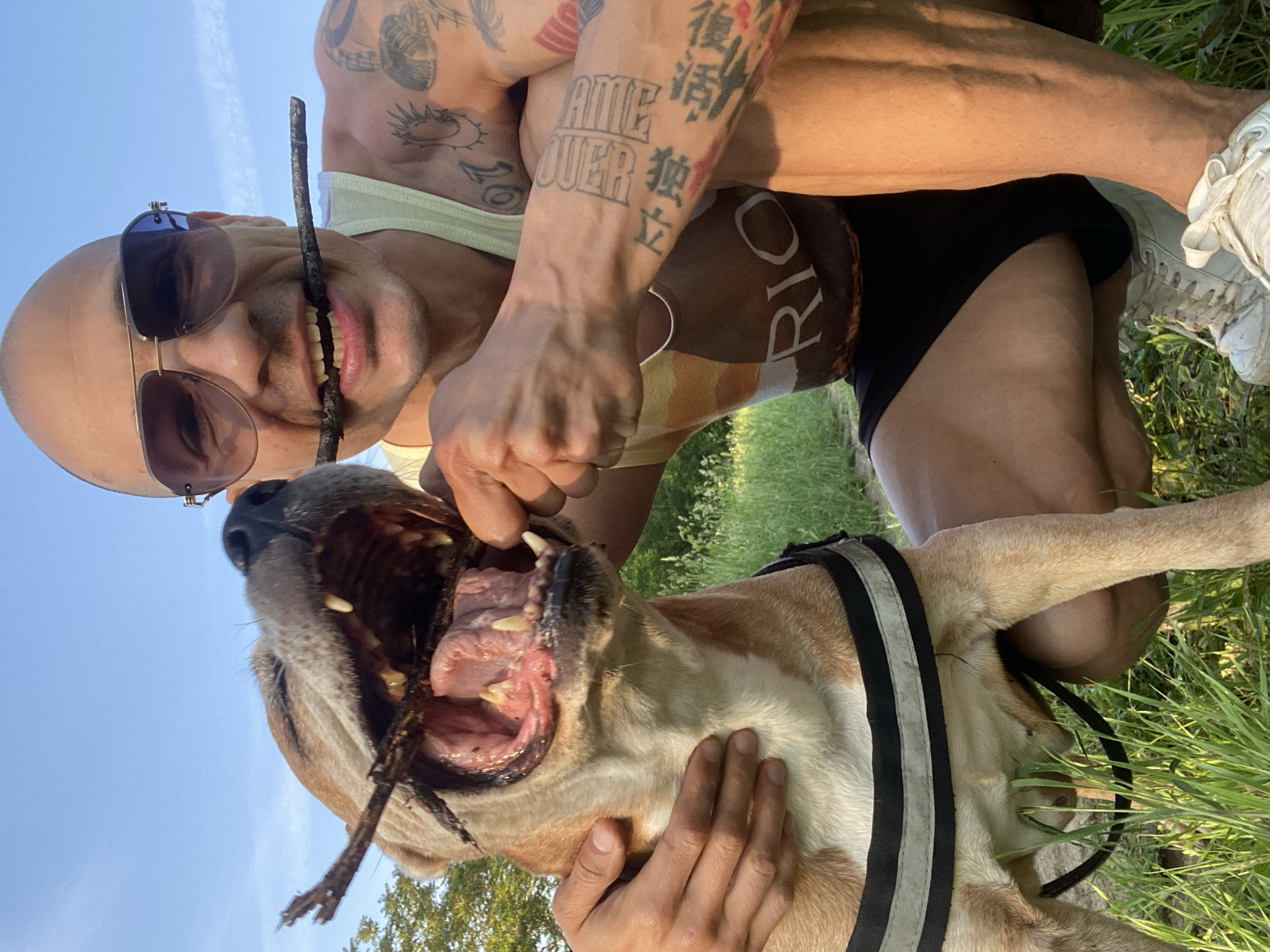 A bald man with sunglasses holds a stick in his mouth and poses with a tan and white dog with a black and white harness. The dog also has a stick in its mouth. The man has tattoos on his arms. The background shows grass and a blue sky. The picture appears to be taken outside, possibly in a park or field. There is no indication in the image of the location being in Pleven, Bulgaria.