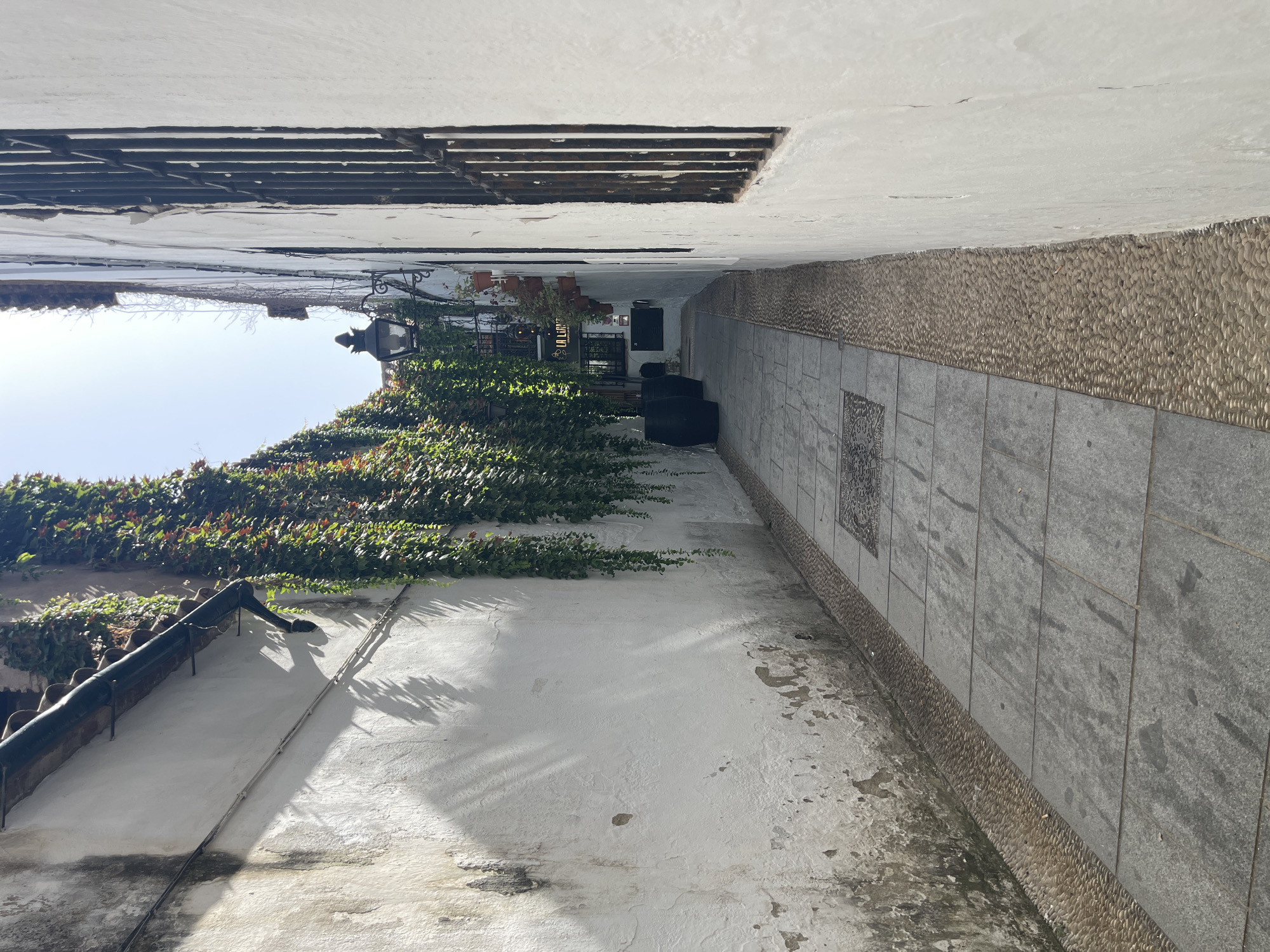 The image depicts a narrow cobblestone alleyway in the historic Judería (Jewish Quarter) of Córdoba, Spain. The alley is flanked by whitewashed walls, one of which is partially covered by cascading green ivy. The ground is paved with large gray flagstones, bordered by a strip of small, rounded pebbles.
On the left side, the wall is weathered and shows signs of age, with patches of peeling plaster and dark staining. Shadows from overhead foliage are cast across this wall, suggesting a sunny day. A dark green drainpipe runs along the top edge of this wall.
On the right side, the wall is also whitewashed, with a large window covered by a black iron grille. Further down the alley, a traditional black street lamp with ornate detailing is mounted on the wall, accompanied by several terracotta pots containing small plants. A sign with the text "LA LIRANJA" is visible above a doorway. Two large, dark, barrel-shaped objects are placed near the left wall further into the alley. The sky above is clear and bright.