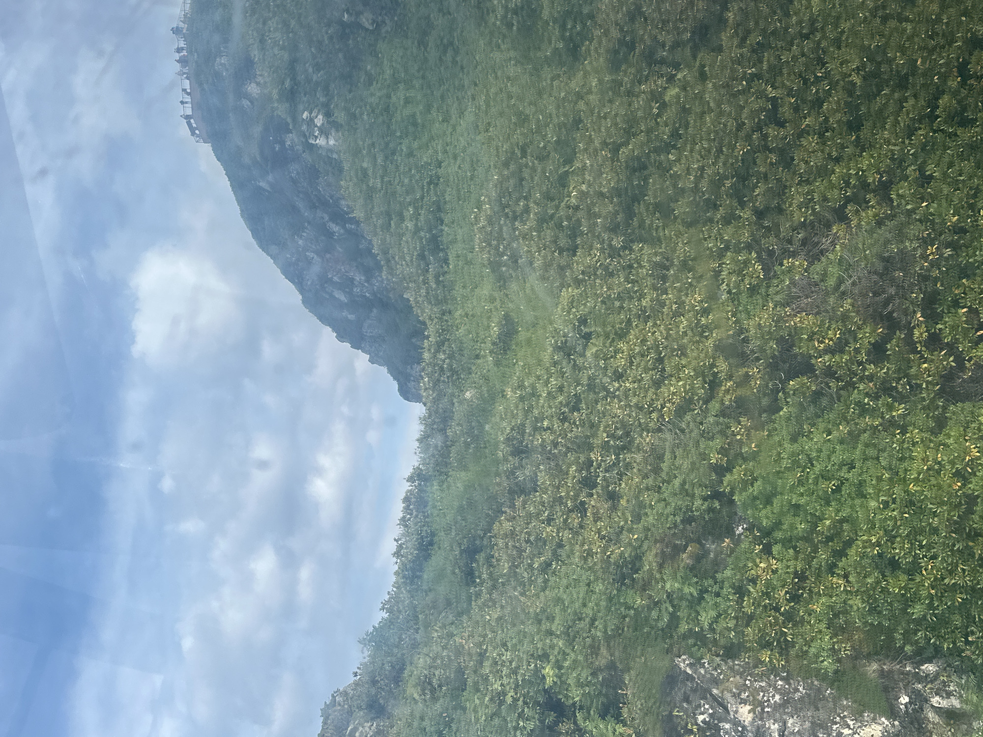 The image shows a view from a cable car ascending a mountainside in Estosadok, Russia. The foreground is filled with dense green foliage, likely a mix of shrubs and small trees, covering the steep slope. The middle ground reveals a rugged, rocky mountain peak partially obscured by mist or clouds. On the summit of this peak, a viewing platform is visible, with a group of people standing on it, looking out at the scenery. The background consists of a cloudy sky with patches of blue. The overall impression is one of a natural landscape with a developed tourist attraction at its highest point.