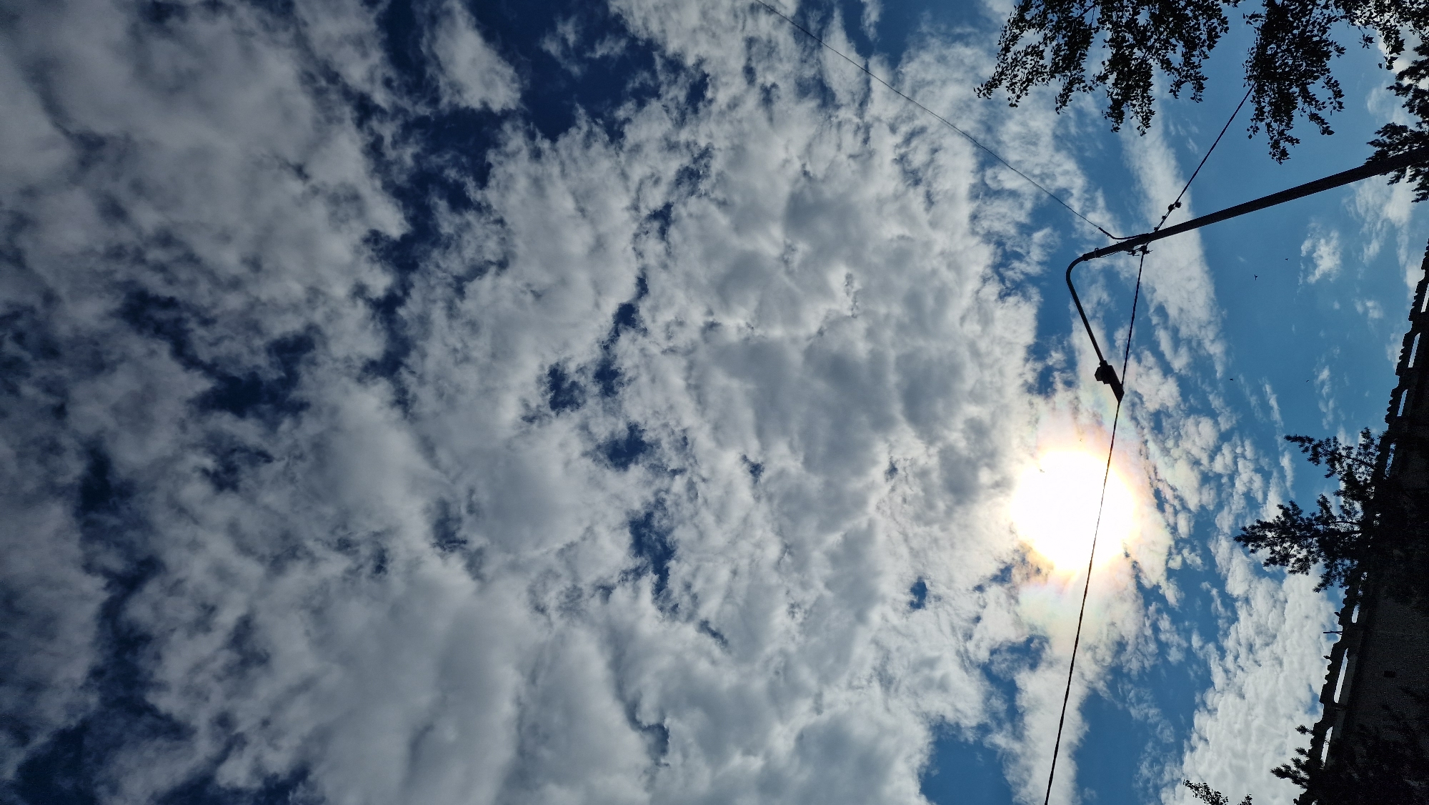 The image is a low-angle shot looking up at a cloudy sky with the sun visible, creating a sun dog effect. The scene appears to be in an urban environment in Kostanay, Kazakhstan, indicated by the presence of a street light pole and power lines spanning across the frame. Silhouetted against the bright sun are two power lines and the street light fixture, which has a dark object resting on it. Below the sky, a dark, textured horizontal structure, possibly a building or wall, runs across the lower portion of the image. Several dark, conical evergreen trees and leafy trees are silhouetted against the sky and the wall. The sky is a vibrant blue with scattered cumulus clouds, some appearing white and fluffy, while others are darker and more textured, suggesting depth and movement in the clouds. A few small, dark specks, likely birds, are visible in the sky.