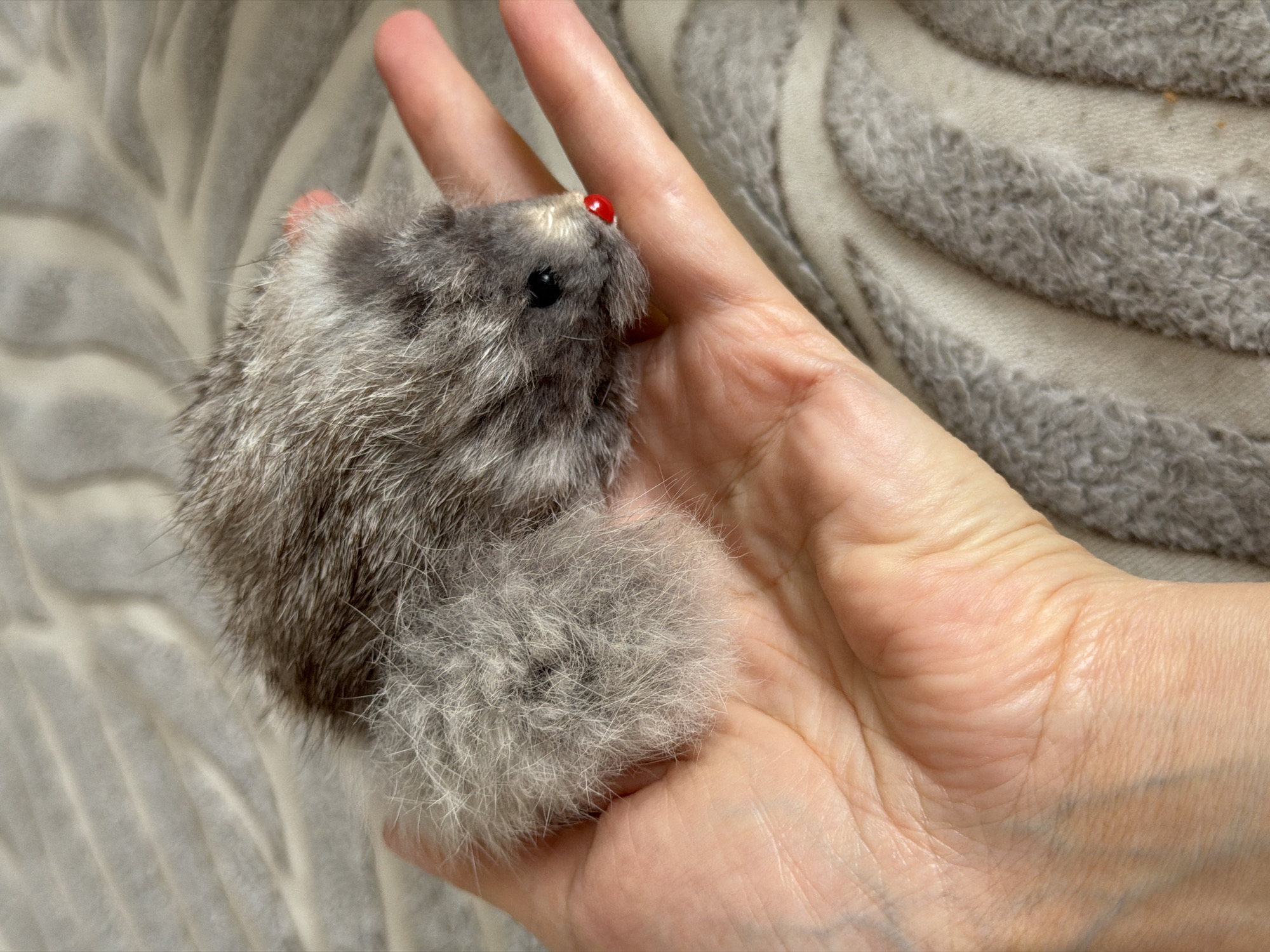 A close-up shot shows a person's hand holding a small, gray, furry toy animal that resembles a mouse. The toy has a fluffy tail and a red bead for a nose. The hand is resting on a textured, light-colored blanket. The toy is positioned on the palm of the hand, with its head facing towards the right. The background is blurred, showing the same textured blanket. There is no indication of a specific location in Izhevsk, Russia.