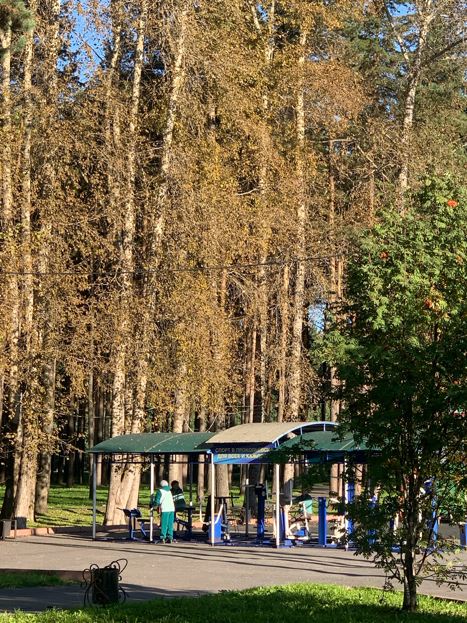 In an outdoor park in Prokopyevsk, Russia, an area designated for fitness is visible. The scene is dominated by tall trees with yellowing leaves, indicating it is likely autumn. Underneath a green awning structure, several pieces of exercise equipment are set up. Two individuals are present; one person, wearing a light green tracksuit and a white head covering, is standing near a piece of equipment. Another person is seated on a bench, partially obscured. A blue and white sign is affixed to the awning, with some text visible that appears to be in Russian. The ground is paved in some areas and covered with grass in others. A decorative trash can with an ornate metal frame is in the foreground.