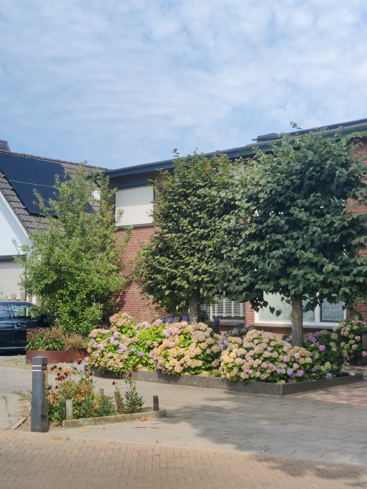 This image depicts the exterior of a residential building in Winterswijk, Netherlands, characterized by a brick facade and solar panels on the roof. The foreground features a paved walkway and a garden area with abundant hydrangea bushes in shades of pink, purple, and cream. Several trees are planted in front of the building, some appearing to be pruned into rounded shapes. A dark-colored car is partially visible on the left side of the image. The sky is partly cloudy with a light blue hue. The overall scene conveys a well-maintained residential property with a focus on landscaping.