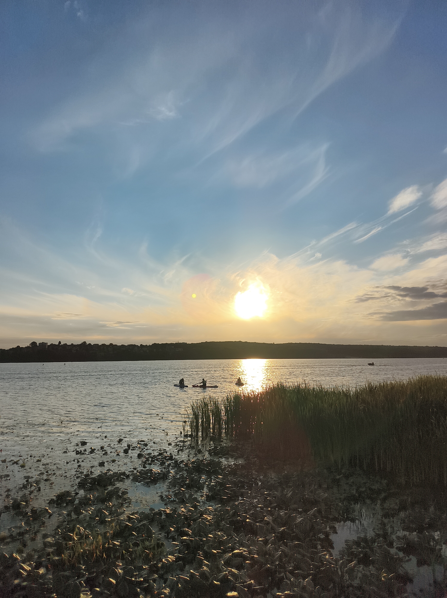 A serene sunset over Ternopil Lake in Ternopil, Ukraine, is captured in this landscape photograph. The sun, a brilliant orb of light, hangs low in the sky, casting a warm glow that reflects on the rippling water. Wispy clouds stretch across the pale blue expanse, their delicate forms silhouetted against the fading light.
In the distance, a dark silhouette of trees and buildings lines the shore, suggesting the presence of the city. The foreground of the image is a shallow, muddy area of the lake, populated by reeds and scattered aquatic plants. These elements add a natural, untamed beauty to the scene.
Several figures are visible on the water, engaged in various recreational activities. Two people are seen on paddleboards, their forms distinct against the luminous water. Further out, a small boat is also visible, its presence adding a sense of scale and movement to the tranquil setting. The overall atmosphere is one of peace and quietude, a moment of natural beauty at the end of the day.