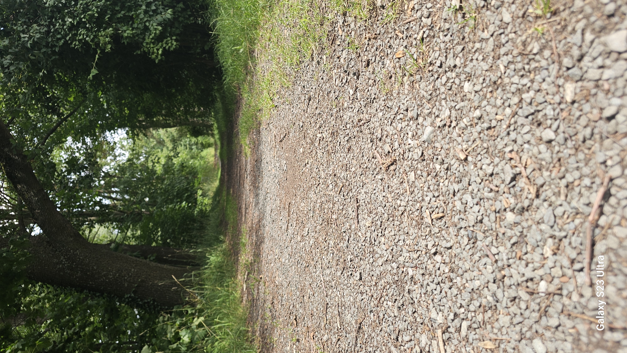 An upward-angle, eye-level shot shows a gravel path leading into a forest. The path is lined with green grass and trees. The sky is not visible. The bottom left corner of the image contains the text "Galaxy S23 Ultra". The scene appears to be a nature trail or park.