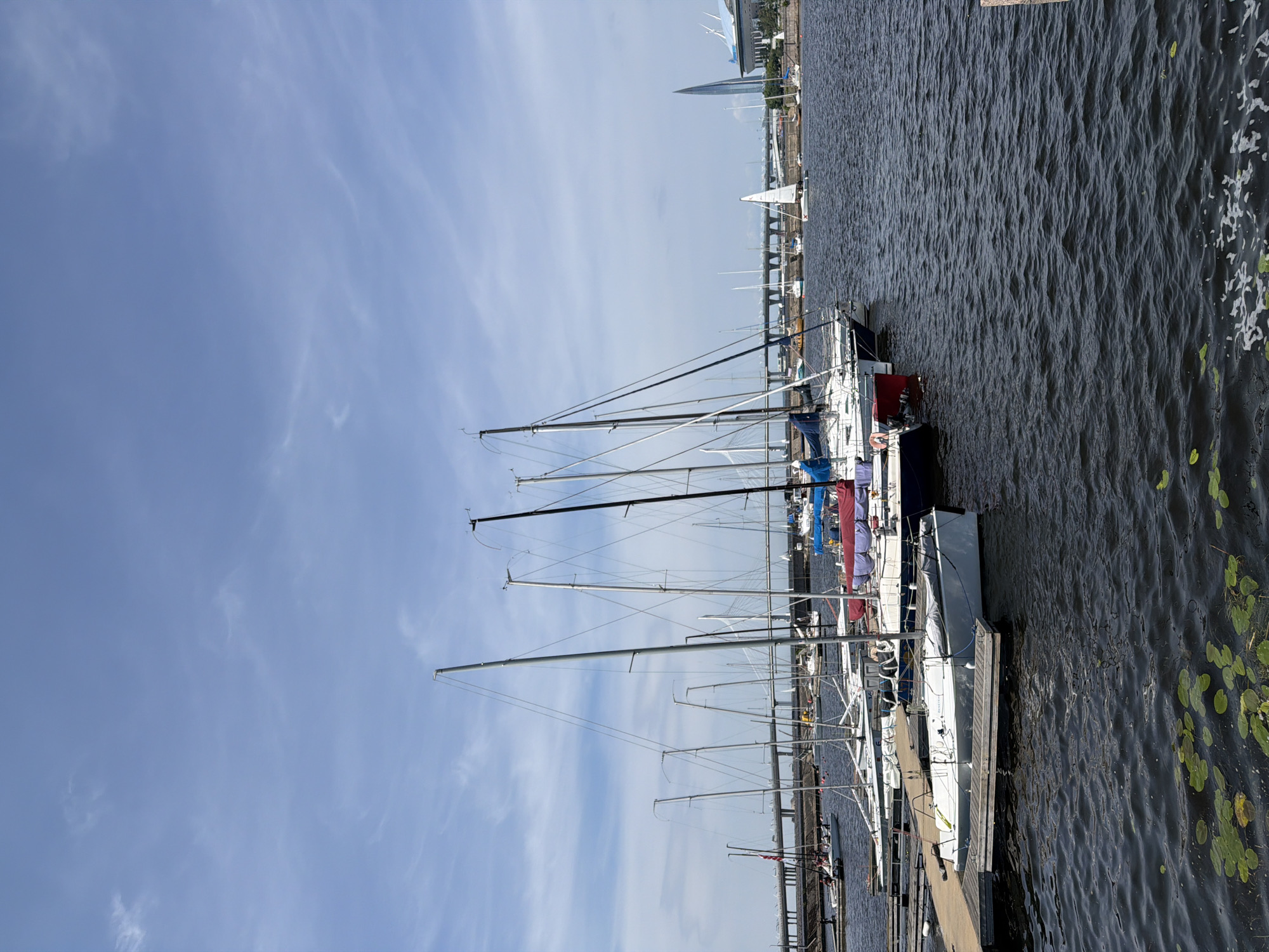 This is an outdoor, eye-level, vertical, wide shot of a marina filled with sailboats docked on a body of water under a partly cloudy blue sky. In the foreground, a wooden pier juts out into the dark water, with lily pads floating on the surface near the bottom of the frame. Several white sailboats are moored to the pier, their masts reaching high into the sky. In the midground, more sailboats are docked, some with colorful sails or covers. Bridges and a distinctive modern skyscraper are visible in the background. The scene is set in Saint Petersburg, Russia, likely near the Gulf of Finland, given the maritime setting and the prominent architectural features.