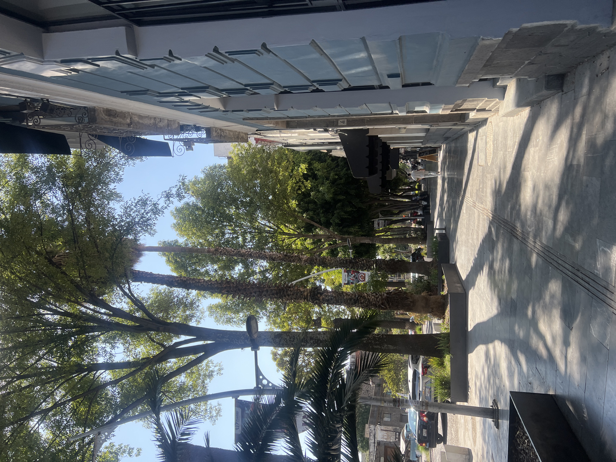 The image depicts a vibrant, sunlit street scene in Puebla, Mexico, looking down a wide sidewalk lined with buildings and lush trees.
**Subjects:**
The scene features several multi-story buildings, characterized by light-colored facades and intricate architectural details, including blue/gray horizontal elements and decorative wrought-iron work under an awning. Dominating the left side of the street are numerous trees, including large leafy trees that form a green canopy and several tall palm trees with distinctive textured trunks. On the sidewalk, there are multiple people; some are walking, while others are seated at outdoor tables, suggesting a cafe or restaurant setting. Cars are parked along the street further down the block. Street furniture includes lampposts with decorative brackets, dark planters, and outdoor tables and chairs.
**Activity or event taking place:**
The activity appears to be a typical daily street scene. People are leisurely walking or sitting, possibly enjoying meals or conversations at outdoor establishments. The overall atmosphere suggests casual urban life.
**Notable details:**
The time of day is clearly daytime, indicated by the bright sunshine and the long, distinct shadows cast by the trees and buildings across the sidewalk. The sky is a clear blue, suggesting fine weather. The sidewalk itself is paved with light-colored, patterned flagstones. The combination of historic-looking architecture, abundant greenery including palm trees, and outdoor dining aligns well with the provided context of Puebla, Mexico. A faint white number "4" is visible on the side of one of the buildings.
**Visible text:**
While several signs are present, the text on most is unreadable due to distance or blurriness. A white banner or sign with some unidentifiable red text hangs among the trees. There's also a circular manhole cover on the sidewalk with very faint, illegible text. A black sign with white text is also visible but unreadable.