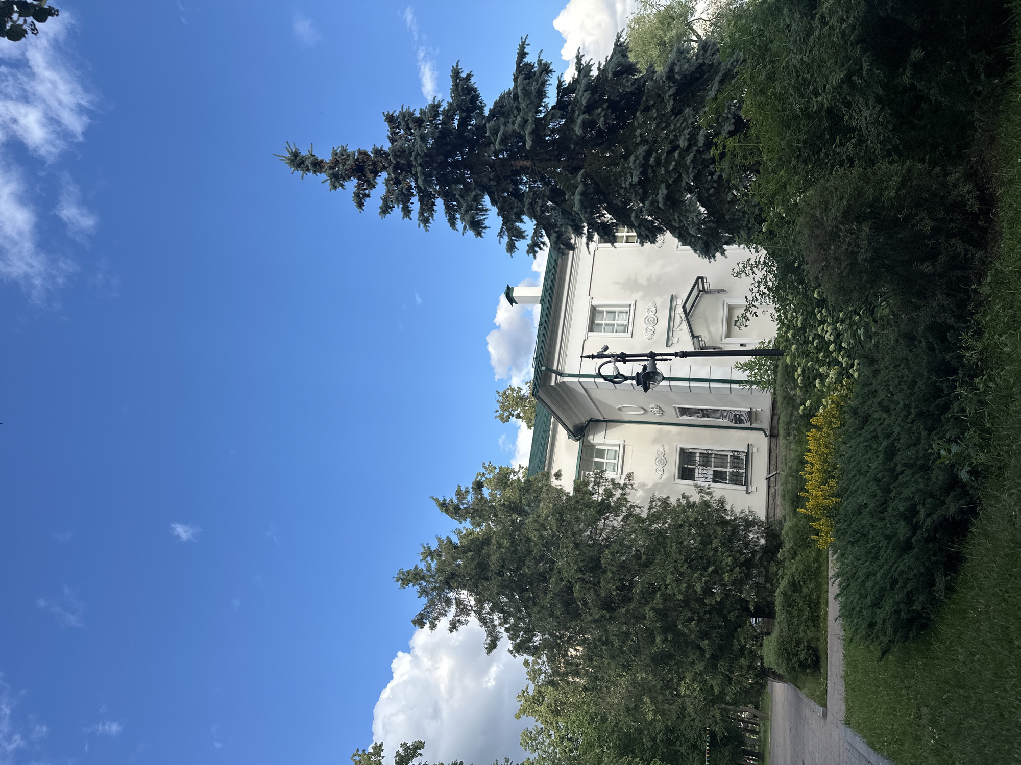 The image shows a bright, sunny day in Kotelniki, Russia. The sky is a vibrant blue with scattered white clouds. A tall evergreen tree with dark green needles dominates the left side of the frame, its branches reaching towards the sky. To the right of the tree is a white building with a green roof. The building has several windows with decorative metal grilles. A chimney with a white cap is visible on the roof. The building is surrounded by lush greenery, including bushes and trees. A paved walkway runs along the right side of the building, bordered by manicured grass. The scene appears serene and tranquil, suggesting a peaceful day outdoors. There is no visible text in the image.