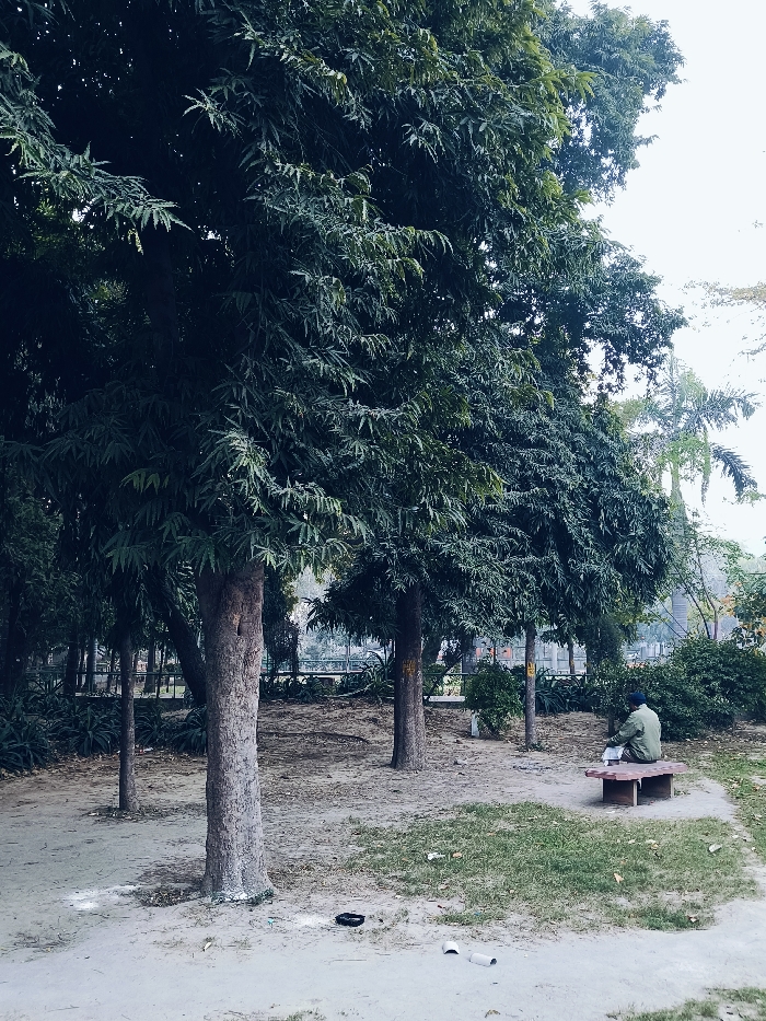 Memory