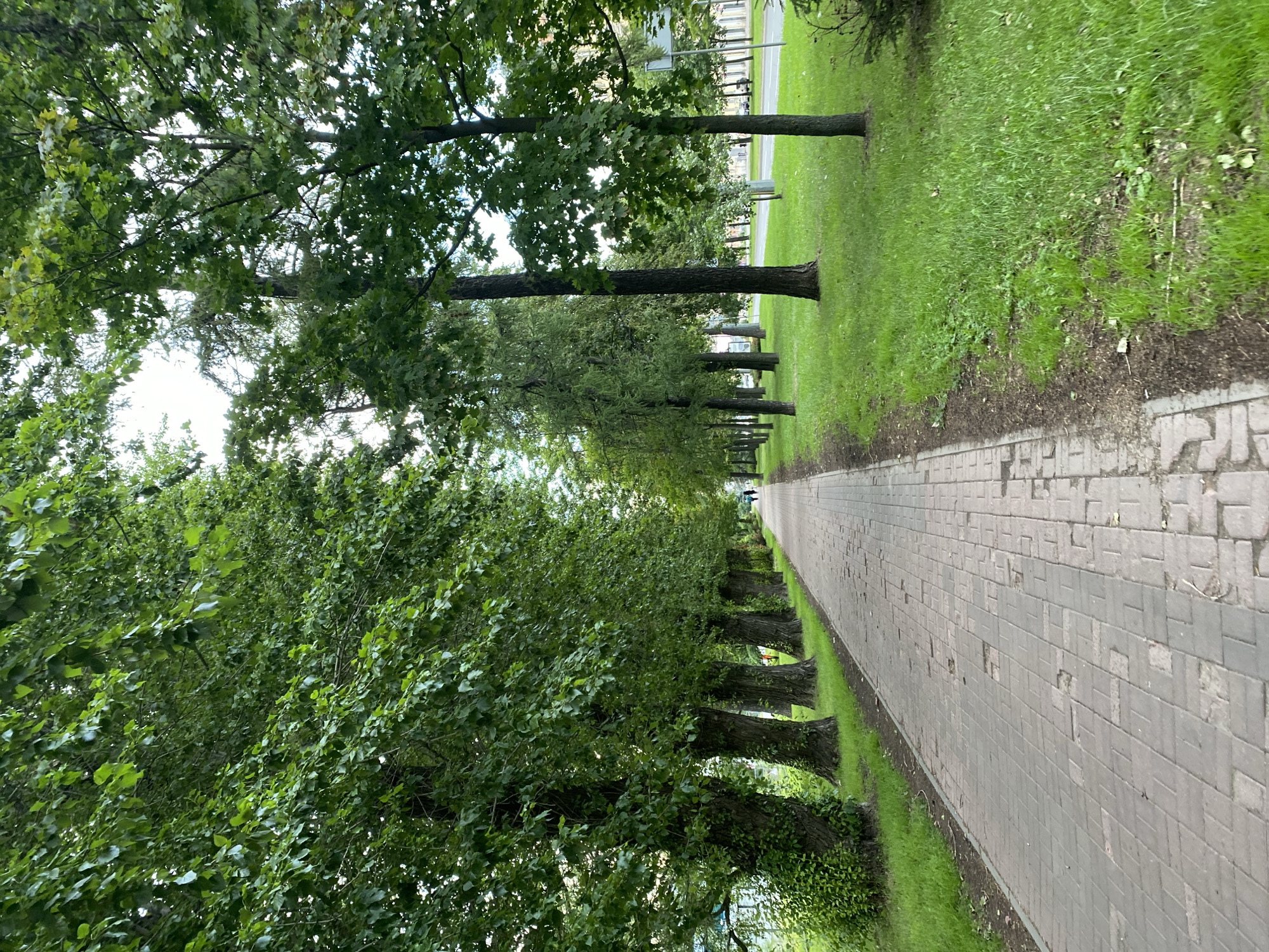 The image depicts a paved pedestrian walkway lined with mature trees and lush green grass on either side. The walkway appears to be made of light-colored rectangular pavers, some of which show signs of wear. The trees on the left are larger and closer together, forming a dense canopy of green leaves. On the right, the trees are more spaced out, allowing sunlight to reach the grass. In the distance, two figures are walking along the path, and a road with cars is visible beyond the trees on the right. The sky is overcast, suggesting a cloudy day. The scene is characteristic of a park or boulevard in a city, possibly Saint Petersburg, Russia, given the presence of well-maintained public green spaces and tree-lined avenues often found in the city.