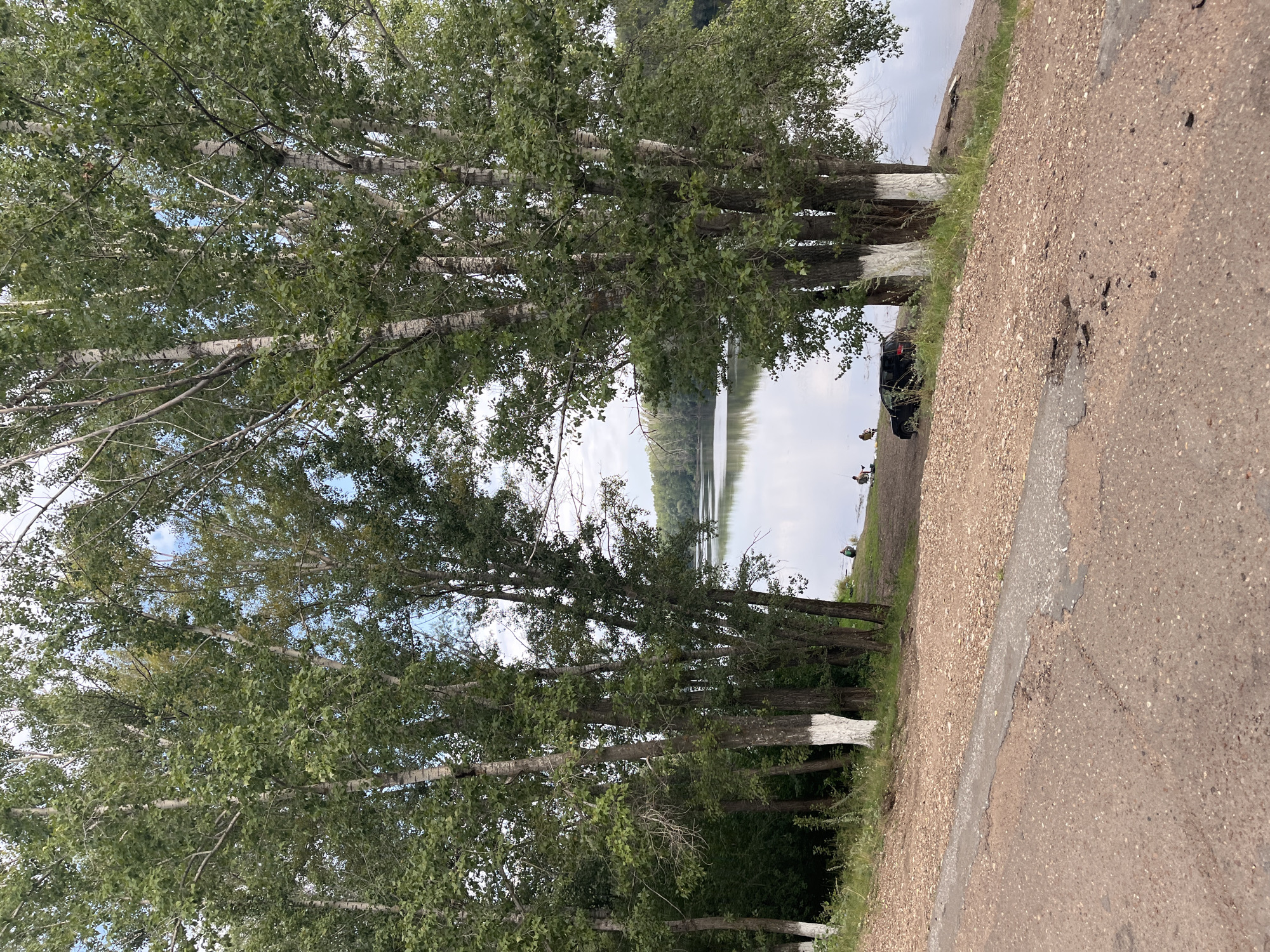 The image depicts a natural landscape scene, likely near a body of water, with a foreground of a dirt and asphalt road. Several tall trees with green foliage dominate the mid-ground, some with white paint applied to their lower trunks. Beyond the trees, a calm body of water reflects the sky, with a distant treeline visible on the far bank. In the lower right mid-ground, a black SUV is parked on a grassy embankment near the water. Further to the left along the embankment, three individuals are seated or crouching, seemingly engaged in fishing. The sky is overcast with patches of blue. The overall impression is a serene, rural or semi-rural setting during daylight hours. There is no discernible indication of the specific location within Blagoveshchensk, Russia, in the image itself.