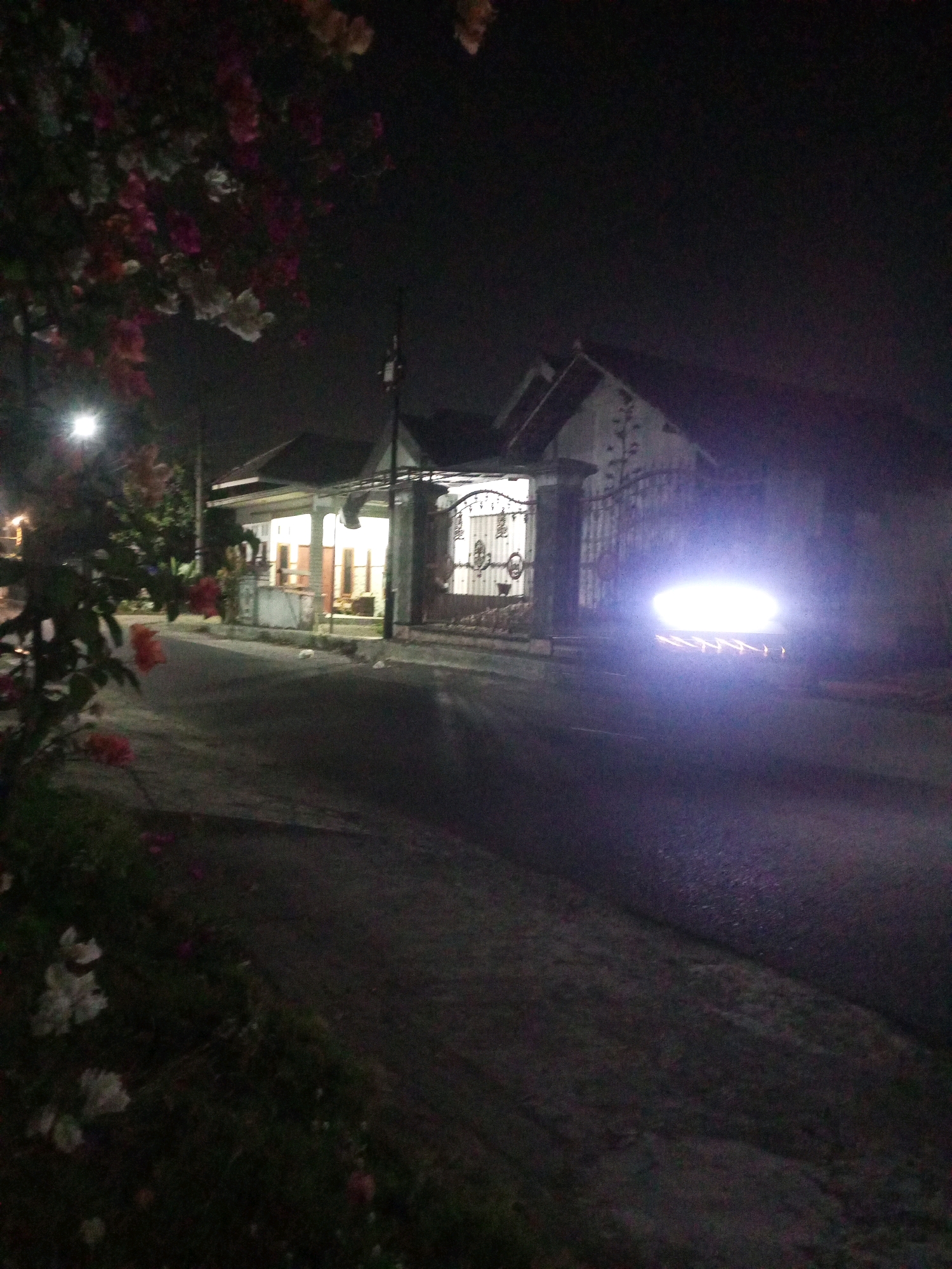 The image depicts a residential street scene at night in Ngasem, Indonesia. In the foreground on the left, a flowering plant with red and white blossoms is partially visible. The street curves to the right, with a sidewalk on the left and a house with its lights on across the street. The house has a porch with a white railing and a decorated metal gate. To the right of the house, a bright white light emanates from a vehicle on the street, its headlights illuminating the foreground and creating a strong glare. The overall atmosphere is dark and quiet, with the artificial lights of the house and vehicle being the primary sources of illumination.