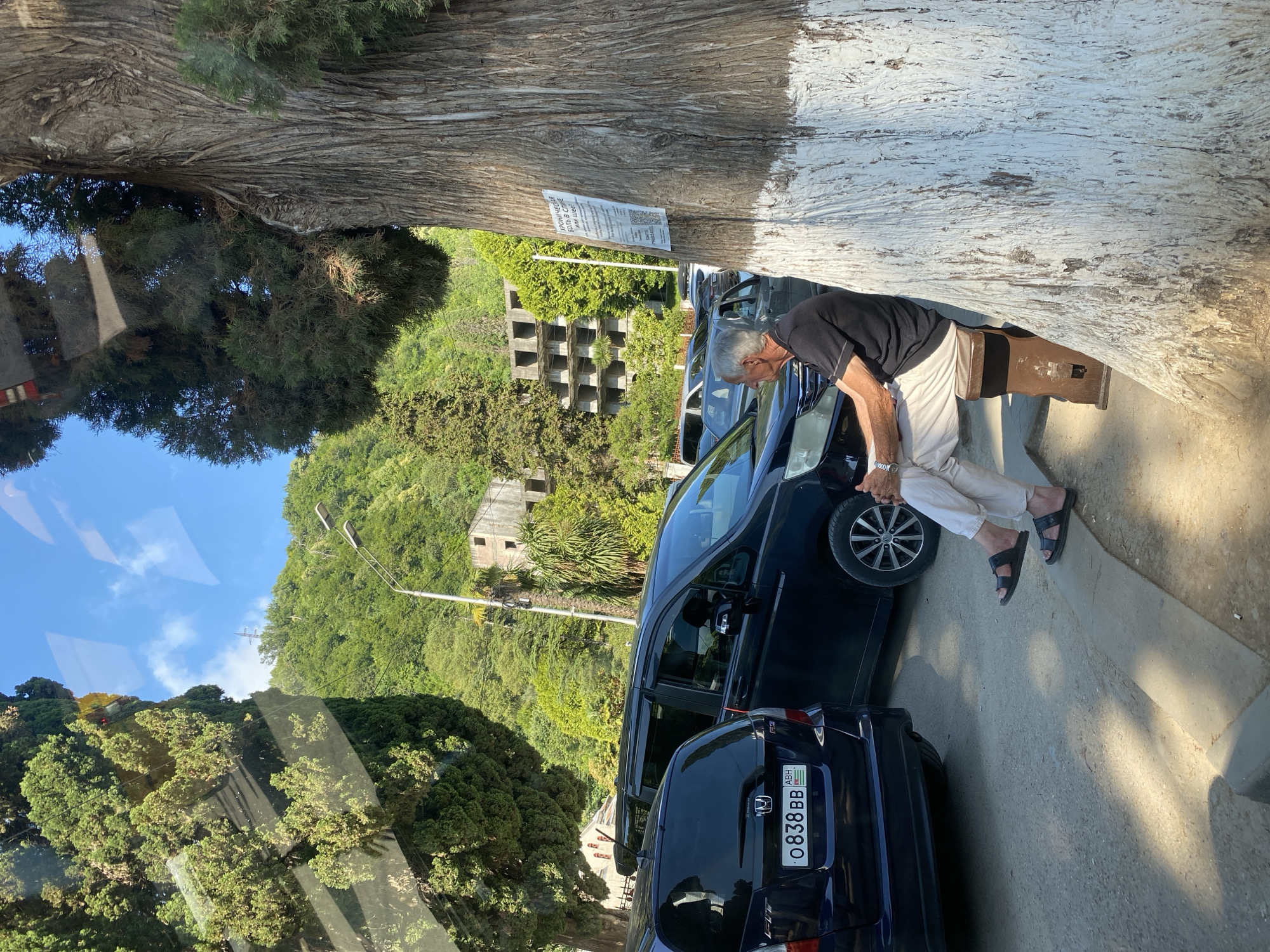 An elderly man wearing a black polo shirt and light-colored pants sits on a wooden bench beside a large tree with a white-painted base. The tree has rough, textured bark. The man is looking to his left, away from the camera. Behind him, several dark-colored vehicles are parked. In the background, there is a lush green hillside covered in trees, with a partially visible, multi-story abandoned building structure. A lamppost is also visible on the hill. The scene appears to be outdoors, possibly in a city, with a clear blue sky. A poster is attached to the tree, with text in Cyrillic script. The license plate of the vehicle in the foreground reads "0838BB" and has an Abkhazian flag.