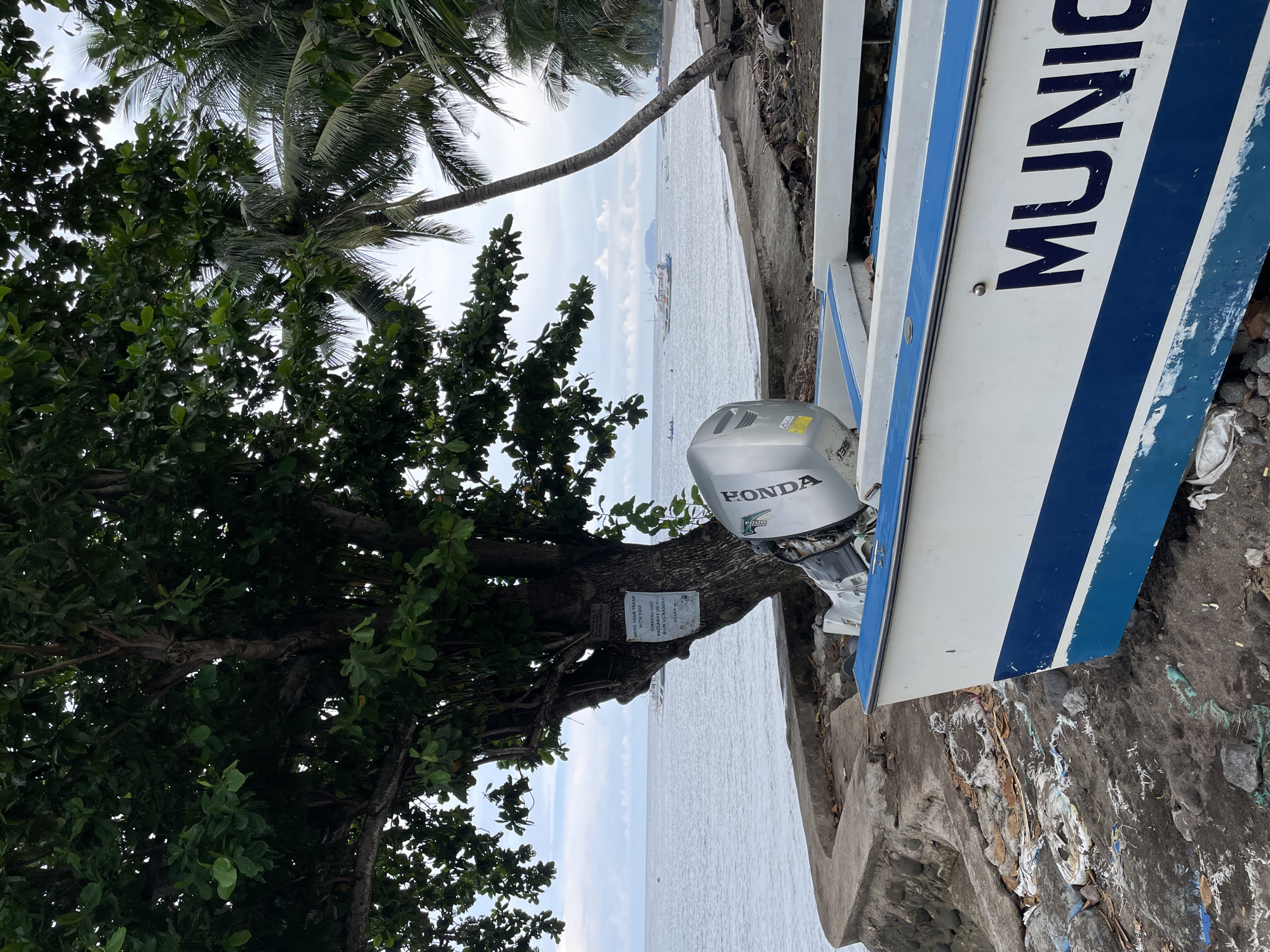 A white and blue motorboat is pulled onto the shore in Dauin, Philippines, with a Honda outboard motor attached. The boat is positioned in the foreground, partially obscuring a concrete seawall and a patch of rocky, debris-strewn ground. Behind the boat, a large tree with dense green foliage stands near the water's edge. In the background, the calm ocean extends to the horizon under a cloudy sky. Several boats, including a larger vessel and smaller craft, are visible on the water, and a distant island or landmass can be seen on the horizon. Palm trees are visible on the right side of the frame, and a sign is affixed to the tree trunk.