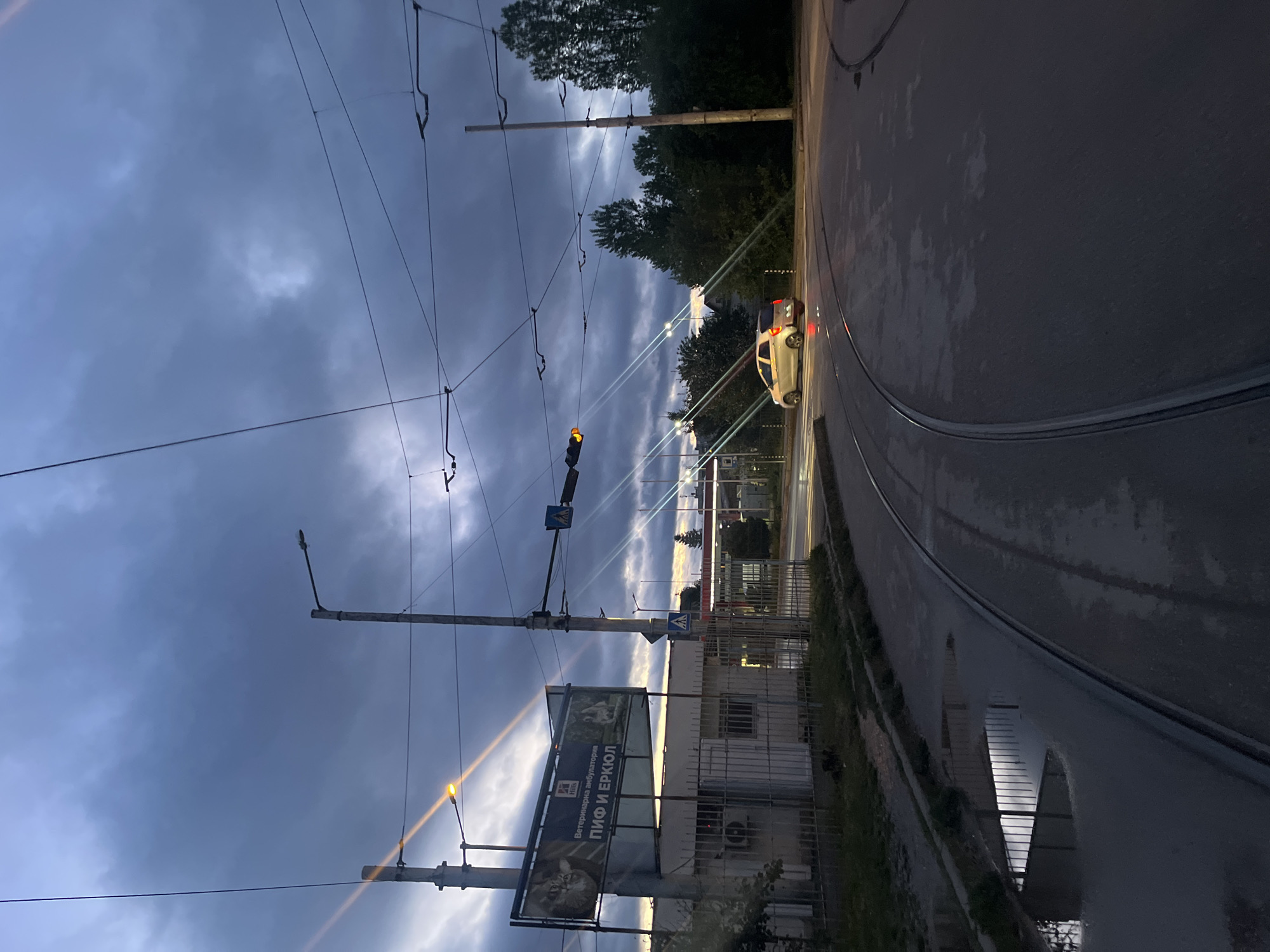 This image depicts an urban street scene in Sofia, Bulgaria, captured during dusk or early evening. The sky is dominated by dark, heavy clouds, with glimpses of lighter sky creating dramatic streaks of light. The road, which features tram tracks curving towards the right, is wet and highly reflective, indicating recent rain.
Numerous utility poles and a dense network of overhead wires for a tram or trolleybus system crisscross the frame, adding to the urban infrastructure. A traffic light, displaying a yellow signal, is visible in the mid-left. A white car, with its red taillights illuminated, is seen driving away from the viewer on the damp road.
On the left side of the street, a large billboard stands prominently. It displays text in Cyrillic, reading "Ветеринарна амбулатория" (Veterinary Ambulatory) and "ПИФ И ЕРКЮЛ" (PIF AND ERCULE), alongside a logo identifiable as Hill's Science Diet. Trees and sections of buildings or fences line the roadside. The overall impression is an active urban environment transitioning into night, under a moody, overcast sky.