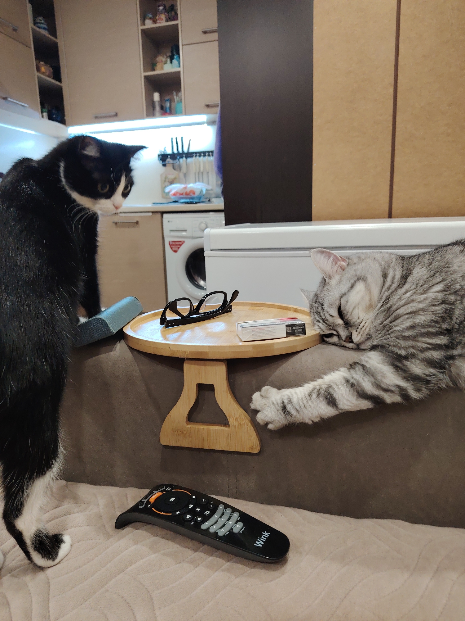 Two domestic cats are present in a dimly lit room, likely a kitchen or living area. The room contains a washing machine, kitchen cabinets, and a couch. On the couch, a black and white cat stands on its hind legs, looking down at a remote control. A tabby cat is asleep on the couch, its head resting on a small wooden table. On the table are a pair of glasses and a pack of cigarettes. The overall scene suggests a relaxed domestic setting, possibly late at night, given the low lighting and the cats' activities. There is no indication of the location being in Novosibirsk, Russia.