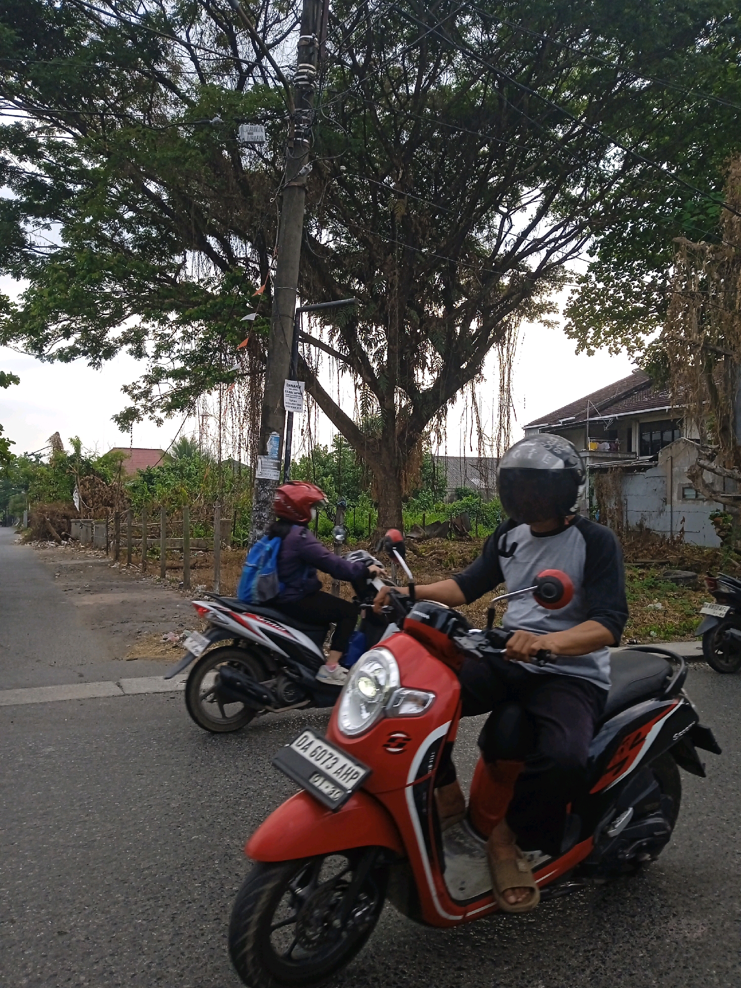 Two individuals are riding motorcycles on a paved road under a large tree with trailing vines, likely in Banjarmasin, Indonesia. The person in the foreground, on a red motorcycle, is wearing a grey and black shirt, black pants, and a black helmet with a reflective visor. They are riding on the right side of the road. The second person, on a white and red motorcycle slightly behind and to the left, is wearing a dark jacket, black pants, and a red helmet. They are also wearing a blue backpack. Both motorcycles are facing away from the camera and moving forward. The environment includes a power pole with wires, fences, vegetation, and buildings in the background. The sky is overcast. The license plate on the red motorcycle reads "DA 6073 AHP".