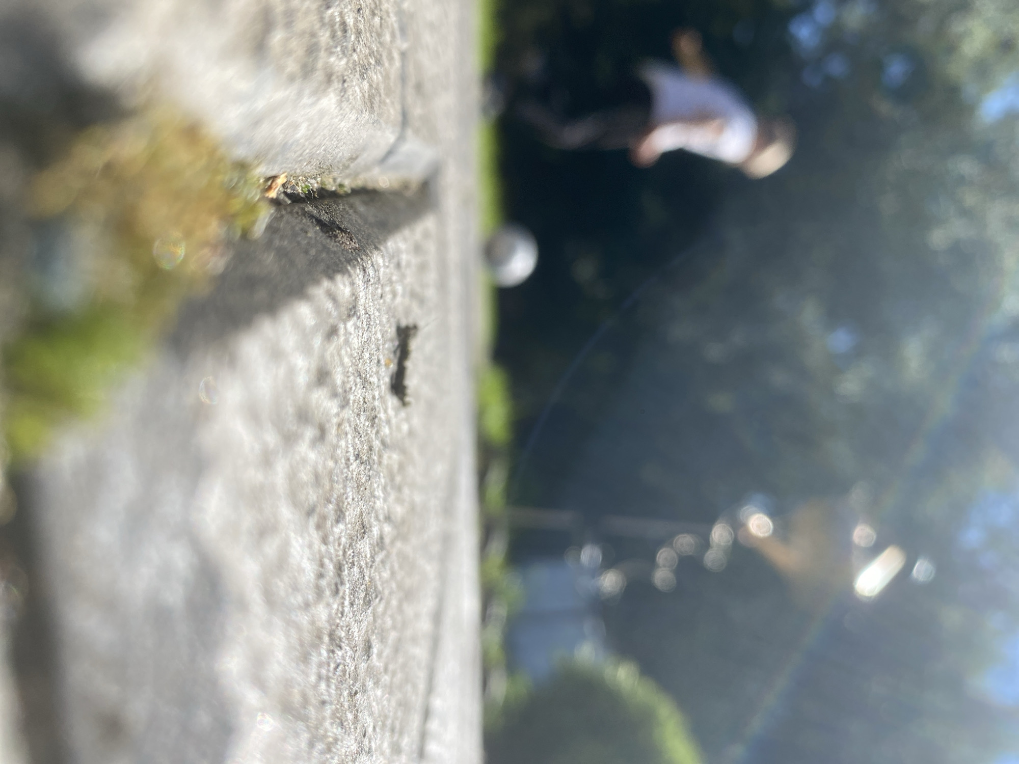 A low-angle, close-up shot shows a concrete surface in the foreground, with a groove running through it. Out of focus in the background, a child in a white shirt and dark pants is kicking a silver ball on a grassy area. Trees and a blurred light fixture are also visible. The scene appears to be a residential yard or park. The location is identified as Зимородок Днп, Russia.