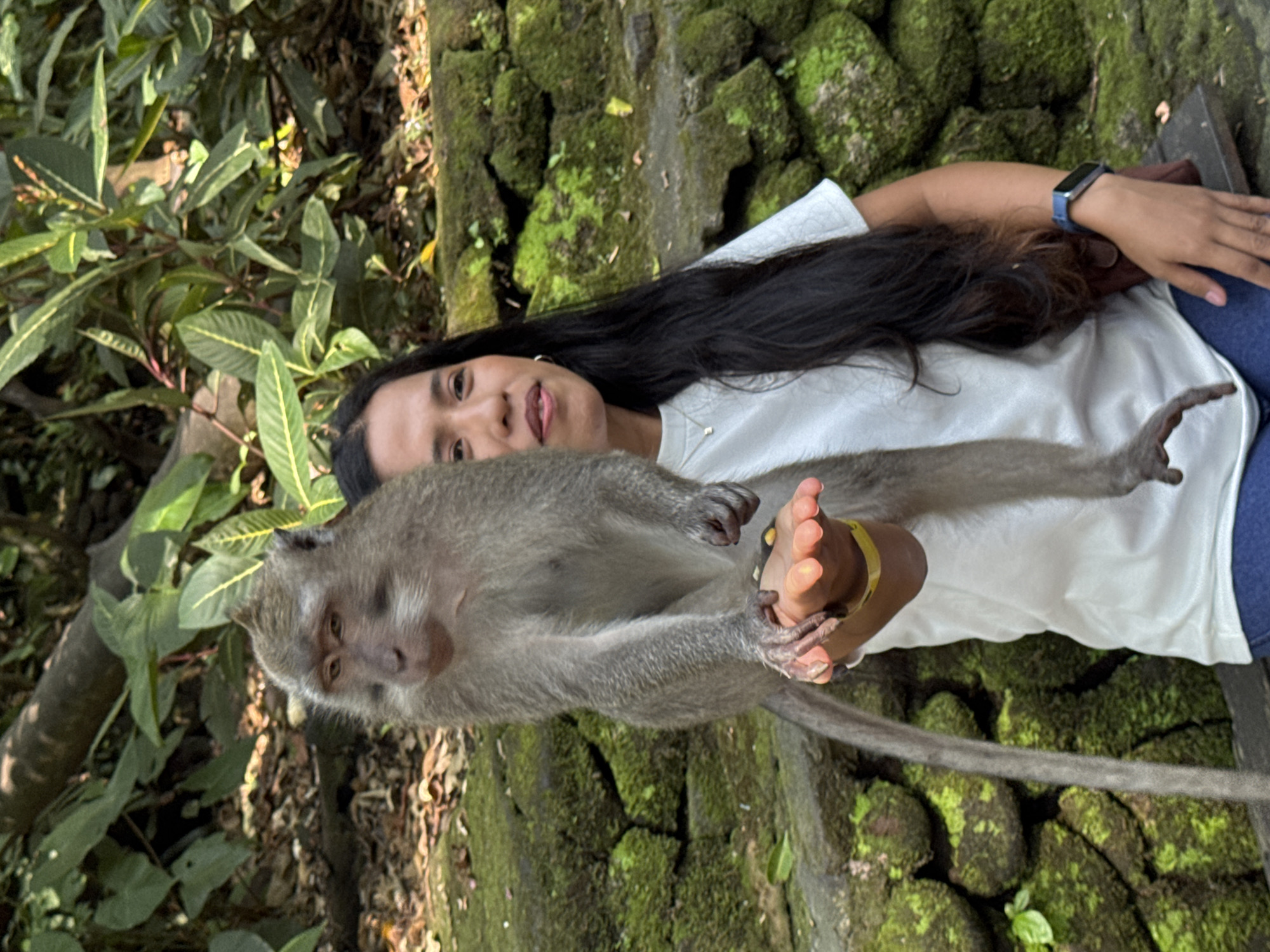 In the Ubud District, Indonesia, a young woman with long, dark hair, wearing a white t-shirt and blue jeans, is posing for a photo with a macaque monkey. The monkey is perched on her arm, its tail hanging down, and its left hand is extended, palm open, suggesting it might be receiving food. The woman is smiling and looking to her right. Behind them is a moss-covered stone wall and lush green foliage. The scene appears to be outdoors, possibly in a natural park or sanctuary.