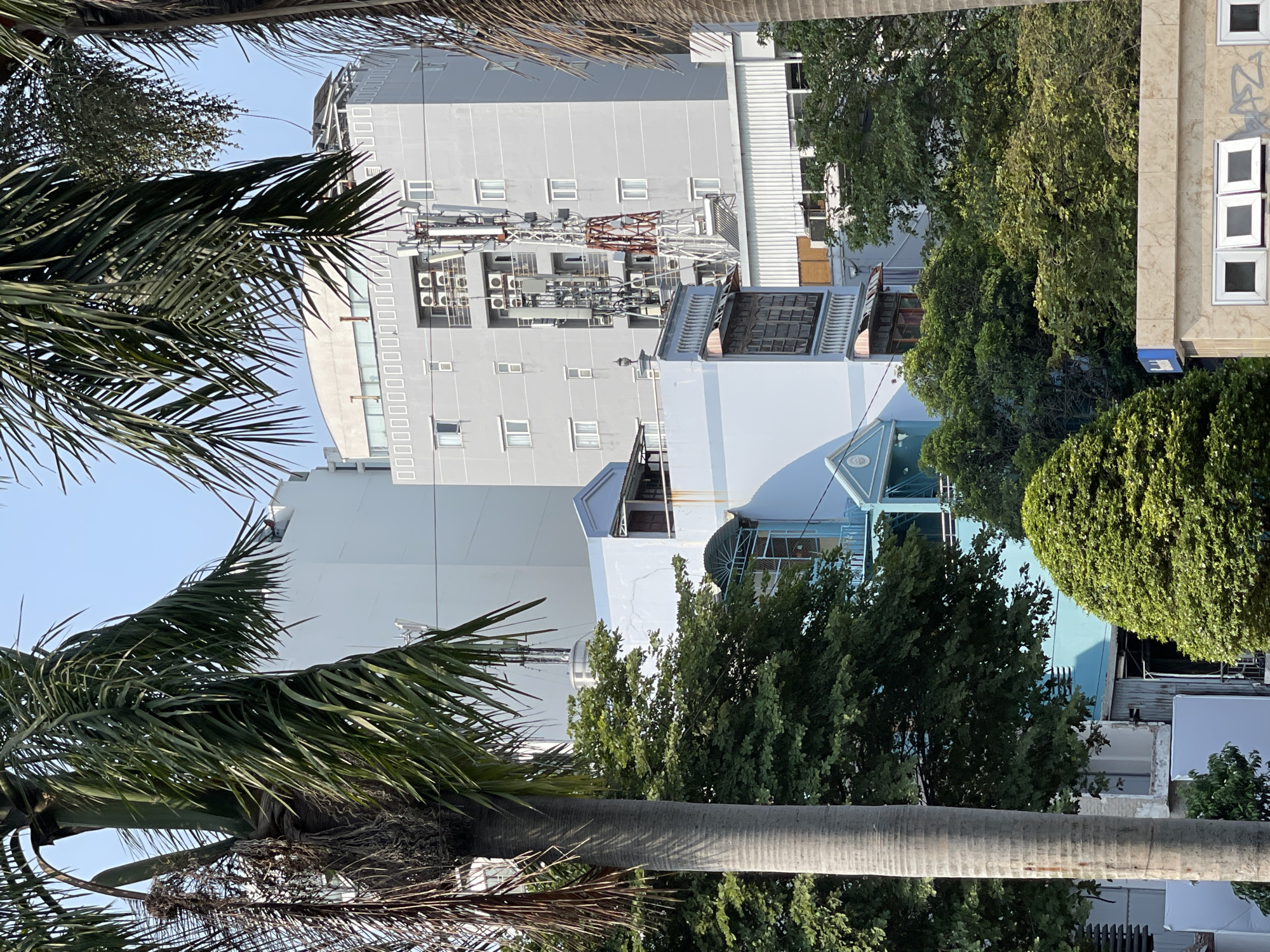 A photograph taken in Thủ Đức, Vietnam, reveals a mix of urban infrastructure and tropical vegetation under a clear sky. Tall, multi-story buildings are the dominant architectural features. One building features a rooftop structure with communication equipment. The architecture is varied, with a building displaying a pale blue facade. Palm trees with lush fronds are in the foreground and to the left. Green trees fill the space between the buildings.