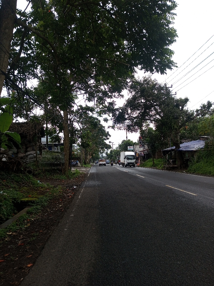 The image depicts a two-lane asphalt road in Kamji Na-Yekha, Bhutan, under an overcast sky. The road surface appears damp in sections, with a yellow solid line and a white dashed line delineating the lanes on the right side. On the left, a narrow paved shoulder borders a dirt and grass verge with a visible concrete drainage channel. Mature trees with dense green foliage line both sides of the road, their branches partially obscuring the sky and distant structures.
On the left side, behind the trees, a rudimentary structure constructed from stacked sacks (possibly sandbags) and tarpaulin is visible. Further down the road on the left, a blue building and other structures are present. Overhead, multiple power lines run parallel to the road.
On the right side, commercial or residential structures with some visible signage are interspersed among the trees and dense vegetation. A makeshift shelter with a blue tarp roof is also discernible.
Traffic is present on the road, moving away from the viewer. A white box truck occupies the right lane in the mid-ground. Behind it, several motorcycles or scooters, each with a rider, are observed between the lanes. Further in the distance, a light-colored car (possibly white or silver) is visible in the left lane, with other indistinct vehicles receding into the background. No pedestrians are clearly visible.