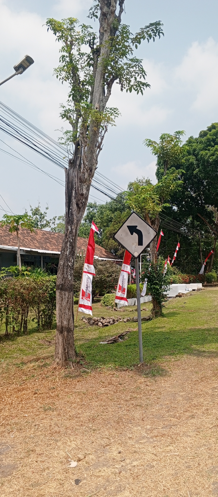 The image depicts an outdoor scene in Maospati, Indonesia, featuring a diamond-shaped traffic sign indicating a left turn ahead. The sign is mounted on a grey pole and is positioned next to a large, rough-barked tree. Numerous red and white flags, likely Indonesian flags, are displayed along the roadside, some bearing the text "DIRGAHAYU" and "INDONESIA." The environment includes a grassy area, a path covered in dry leaves and straw, a building with a tiled roof in the background, and lush green trees. Overhead, power lines are visible against a cloudy sky. The overall impression is of a street or park area decorated for a national celebration.