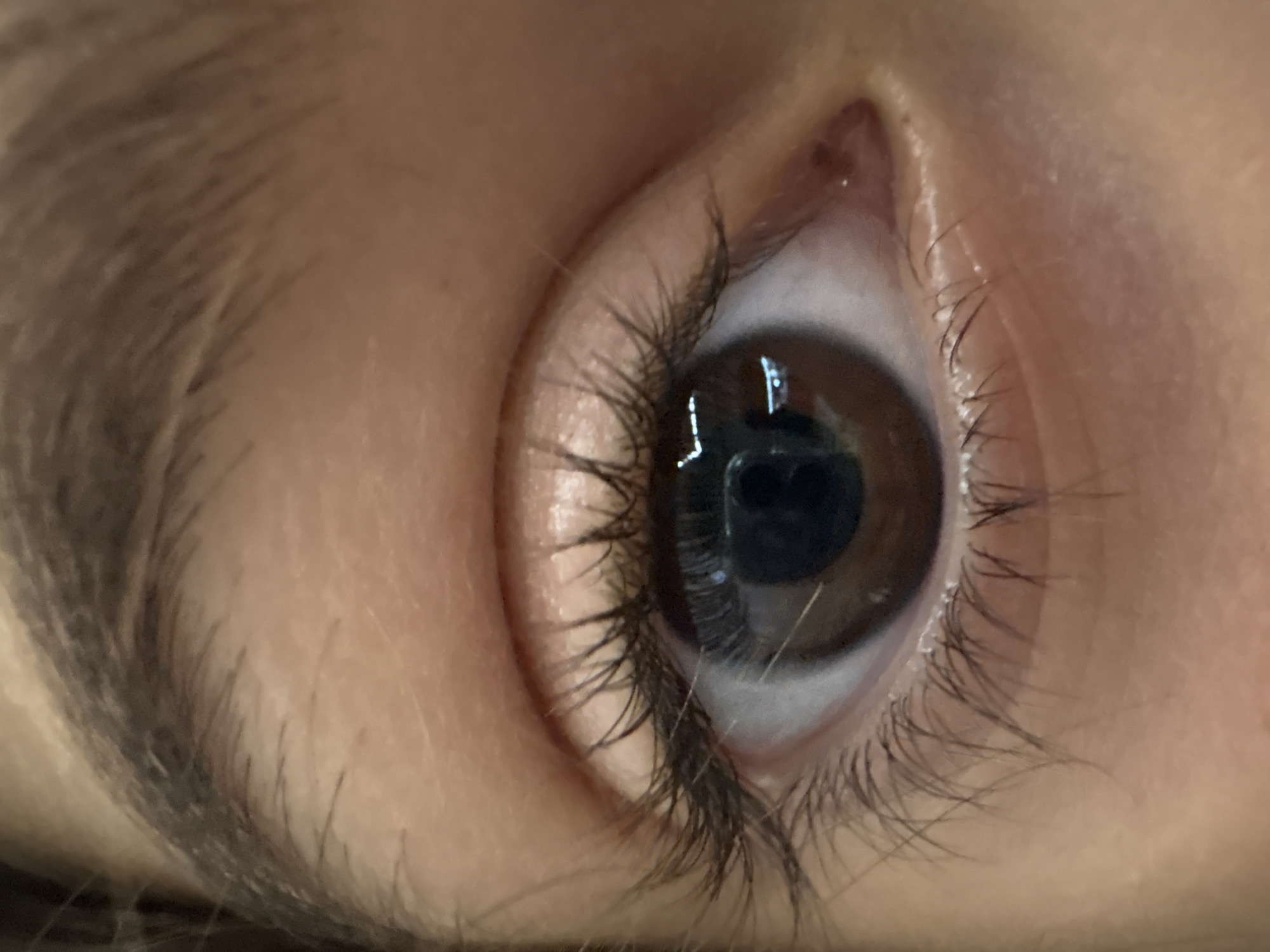 This is a close-up, eye-level shot of a person's brown eye and eyebrow. The skin tone is fair, and the eyebrow is dark and well-defined, with individual hairs visible. The eyelashes are also dark and appear somewhat long and curled. The iris of the eye is a rich brown color, and the pupil is dark, reflecting some light sources. There is a subtle reddish tone to the inner corner of the eye. The surrounding skin shows some texture and faint lines. There are no discernible environmental details that would indicate a specific location within Oreshak, Bulgaria.