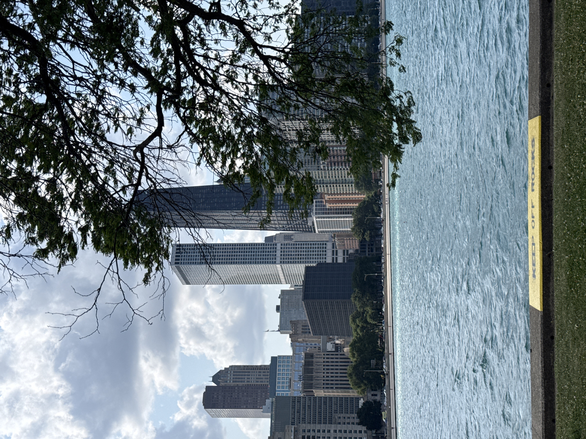 A cityscape, with a body of water in the foreground and a dense collection of skyscrapers and other buildings in the background, is depicted in this image. The water is a vibrant blue, with ripples indicating some movement. A concrete barrier with a yellow stripe runs along the edge of the water, with the words "KEEP OFF ROCKS" stenciled on the yellow stripe. Green grass is visible in the lower portion of the image, bordering the concrete barrier. In the upper portion of the image, a large tree branch with green leaves and dark brown branches obscures a portion of the sky and cityscape. The sky is partly cloudy, with patches of blue visible between the white clouds. The buildings in the background are a mix of modern skyscrapers, some with dark glass facades and others with lighter-colored exteriors. The city appears to be Chicago, Illinois, given the architecture and the presence of Lake Michigan in the foreground. There are no visible people or animals in the scene. The overall impression is one of a bright, urban environment next to a large body of water.