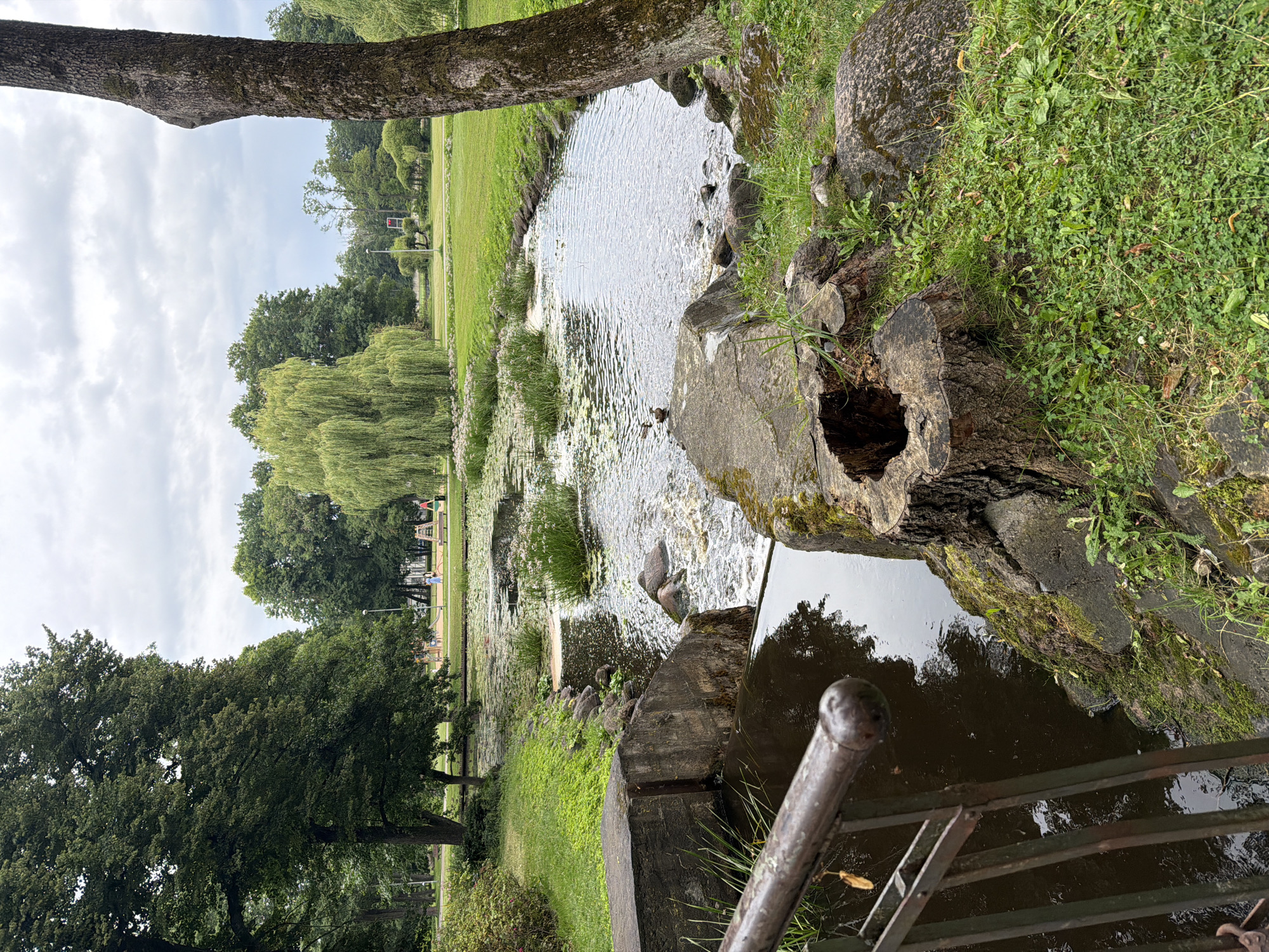 The image depicts a serene park scene in Riga, Latvia, likely a section of the Arkādijas parks. A tranquil body of water, possibly a canal or pond, meanders through the park. Lily pads and aquatic plants dot the surface, creating a natural, undisturbed atmosphere. In the foreground, a sturdy, weathered tree stump with a hollow cavity rests on the bank, surrounded by lush green grass and moss-covered rocks. A rusty metal railing is partially visible, suggesting a pathway or bridge. Beyond the water, a children's playground is visible with colorful equipment and a few people, including two children and a woman, engaged in recreational activities. The background features a variety of trees, including a prominent weeping willow, and a vast expanse of green lawn, all under a cloudy sky. The overall impression is one of a peaceful, natural oasis within an urban setting.